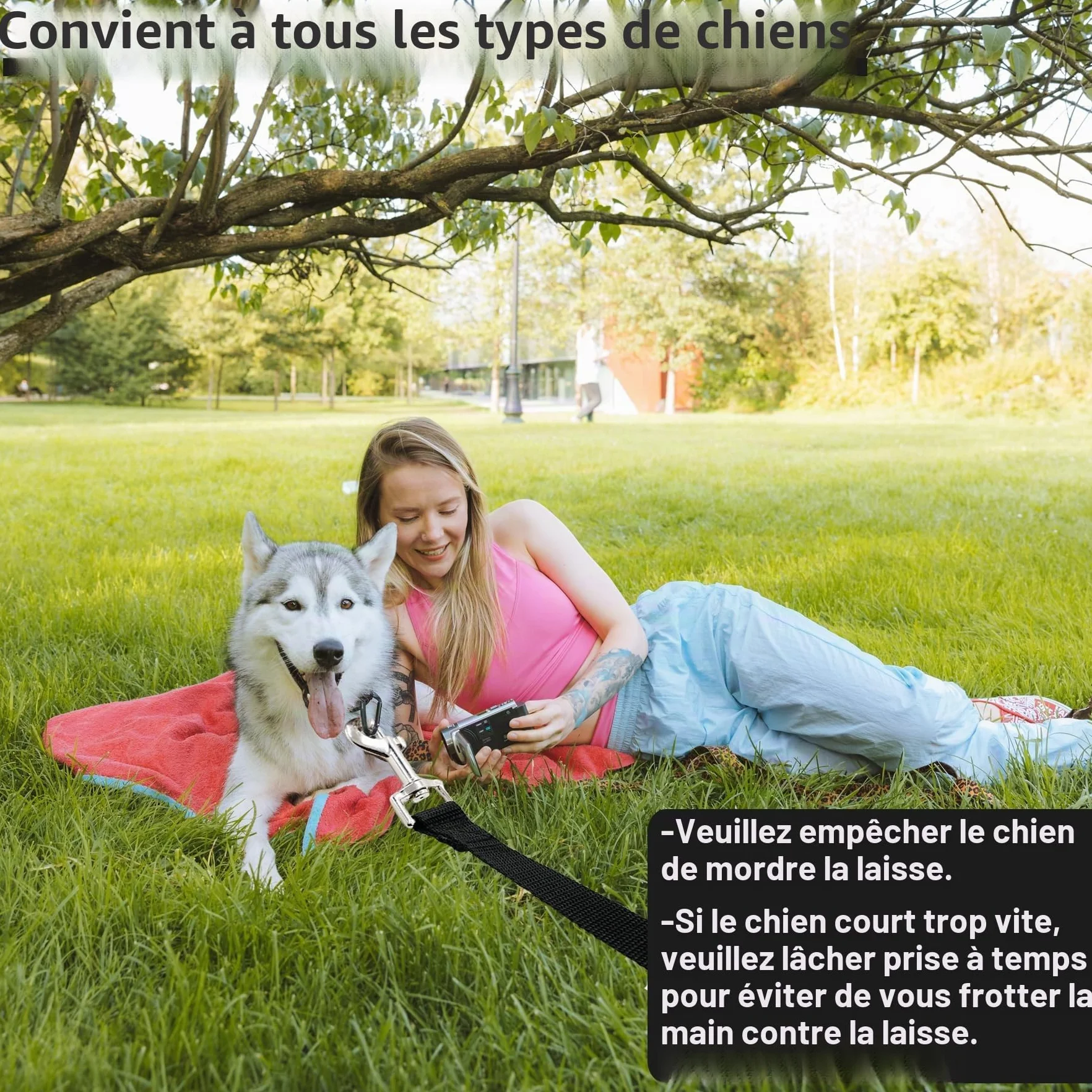 Laisse pour chien 5 m de CiciIng, Laisse imperméable avec dragonne et mousqueton à 360°, Laisse robuste pour l'entraînement pour chiens de petite, moyenne et grande taille