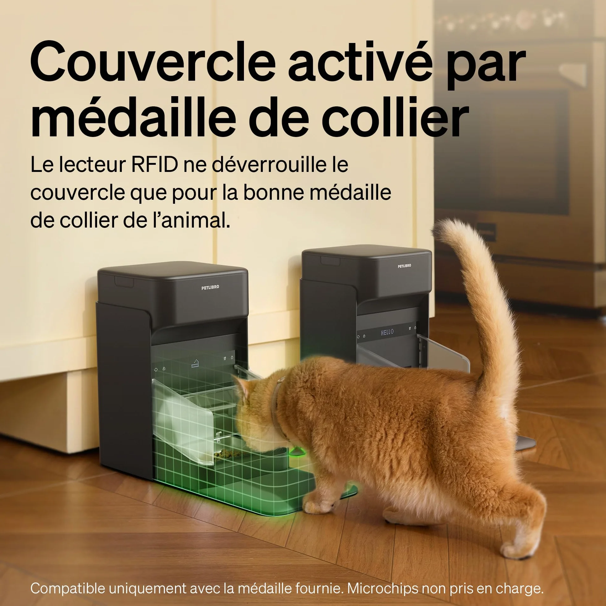 PETLIBRO Distributeur Automatique RFID Chat Wi-Fi 2,4/5 GHz Contrôle Application Reconnaissance Collier