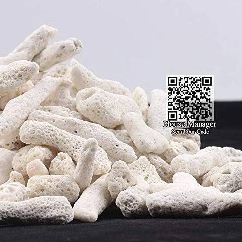 Filtre en os de corail naturel pour aquarium 200 g Matériau biologique moyen Sable de corail pH stable