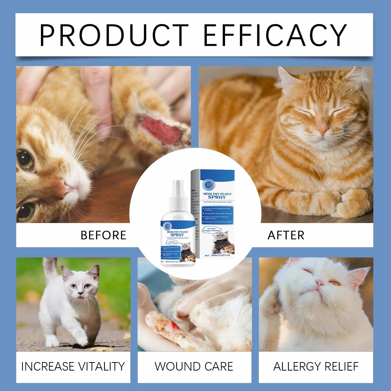 Spray anti-démangeaisons pour chat 100 ml Guérisseur naturel des plaies de chat soulagement des points chauds