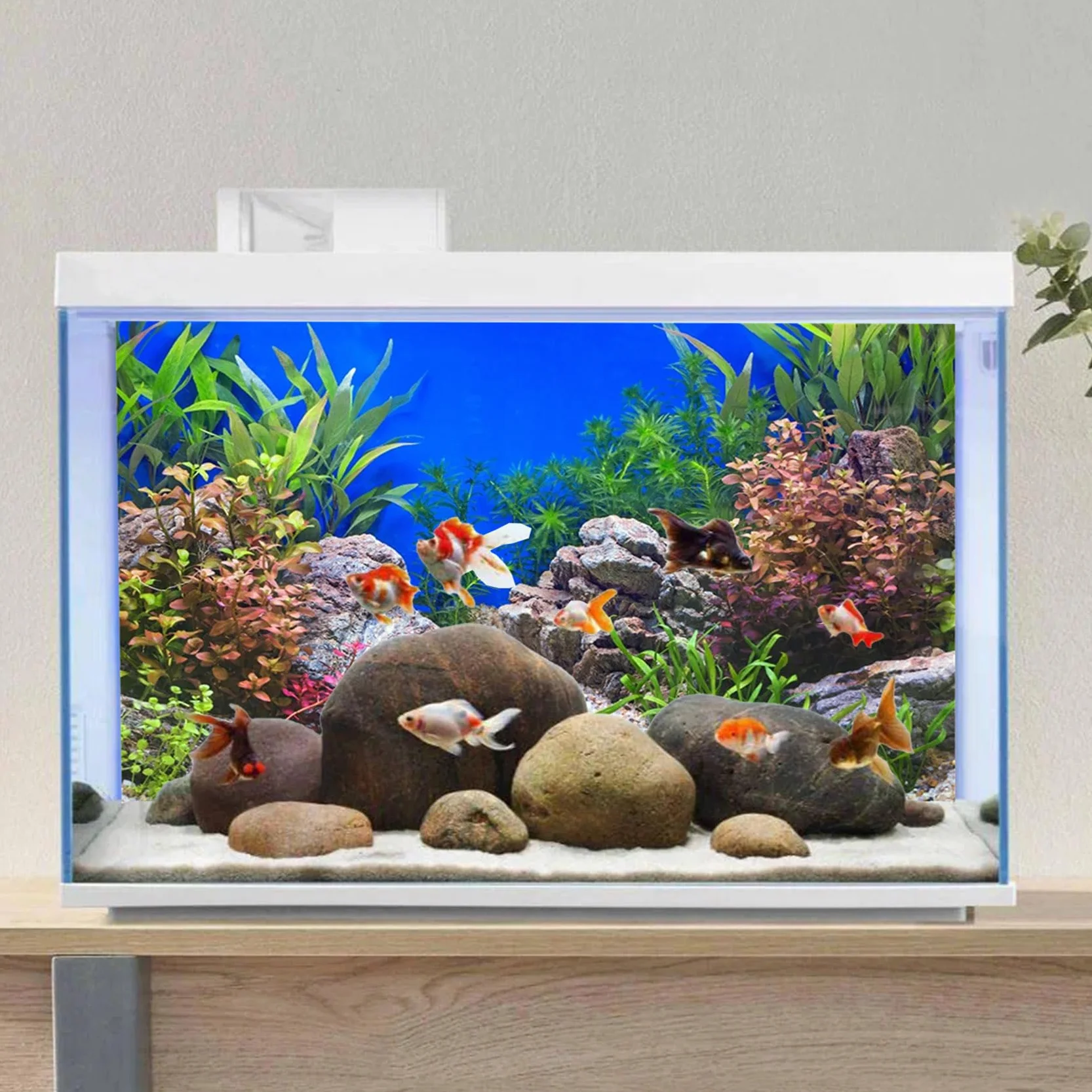 Plante Aquatique Fond Aquarium Vinyle 91x50cm