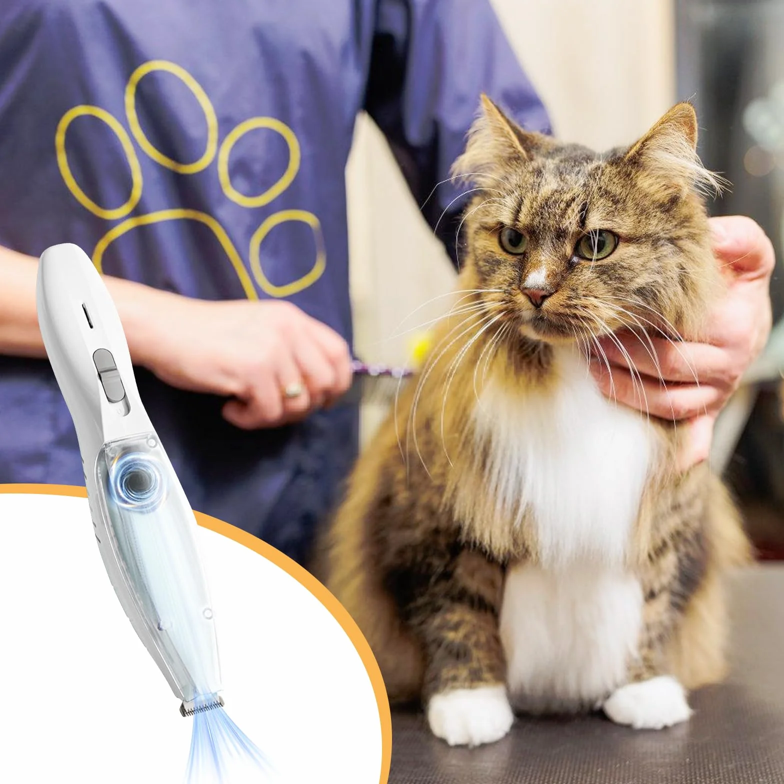 Tondeuse pour pattes de chien avec aspirateur, rechargeable, étanche