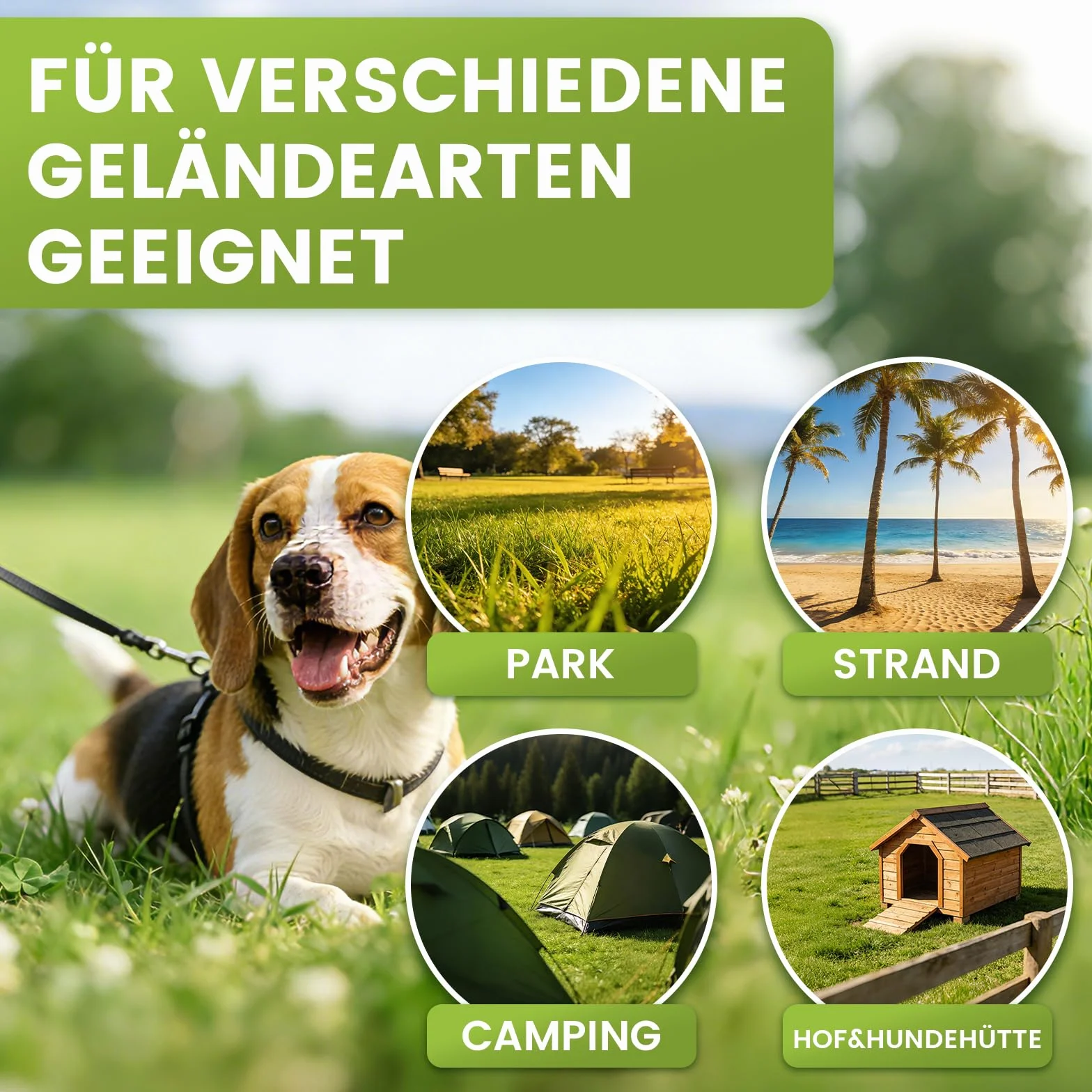 Piquet Ancrage pour Chien 360° 220lbs, Piquet Patio Camping Plage Noir