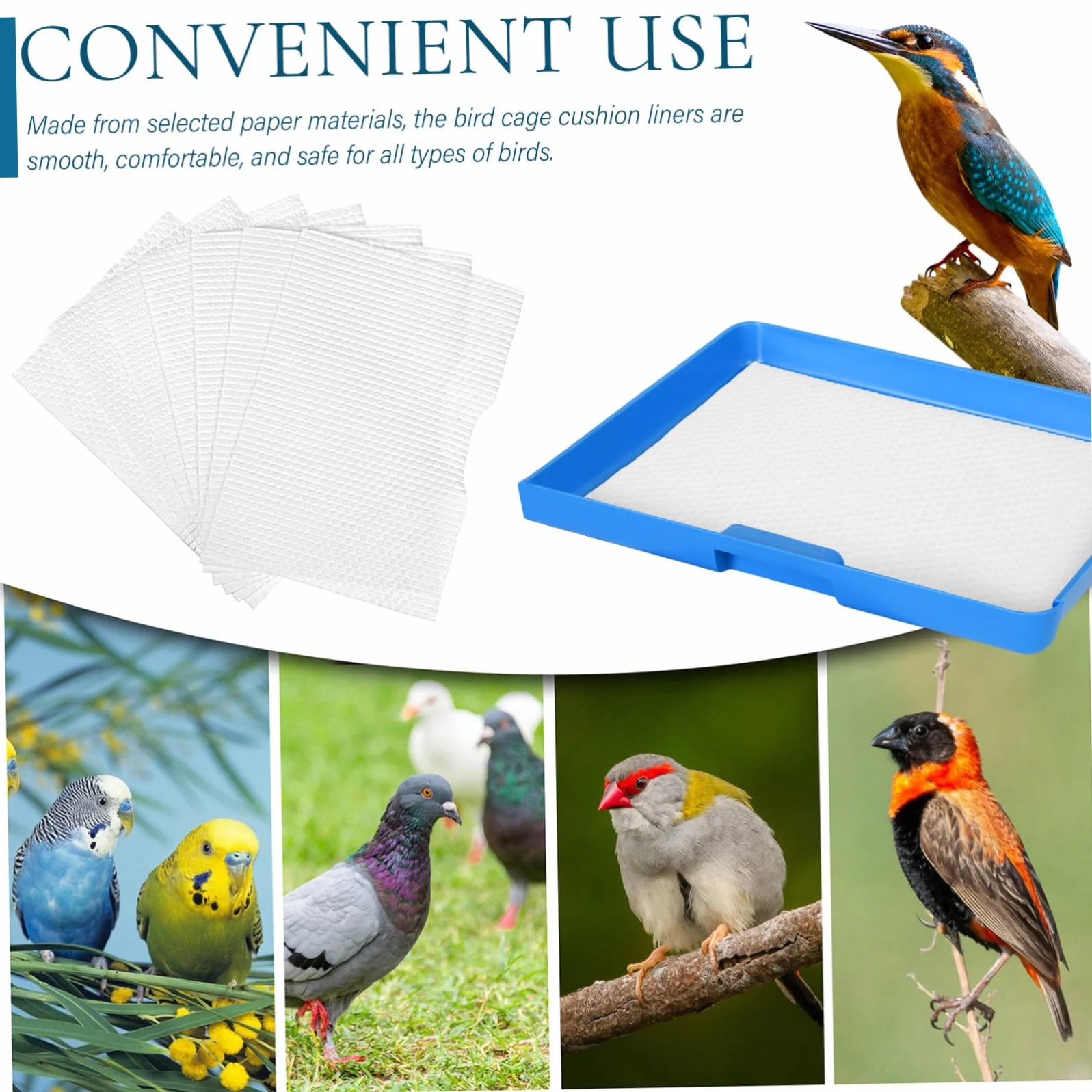 BESPORTBLE Tapis de Cage Oiseau Blanc Jetable 100 Feuilles pour Perroquet