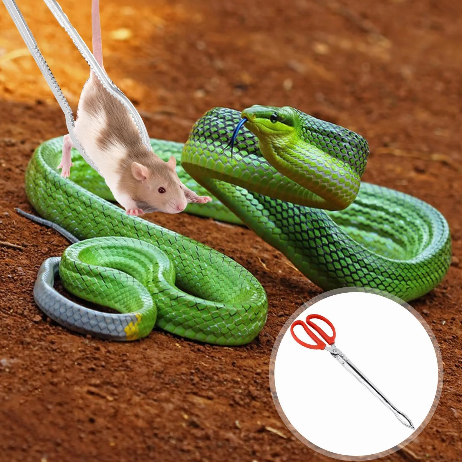 Pince À Nourriture Reptile 38cm Extra Longues pour Serpent Terrarium