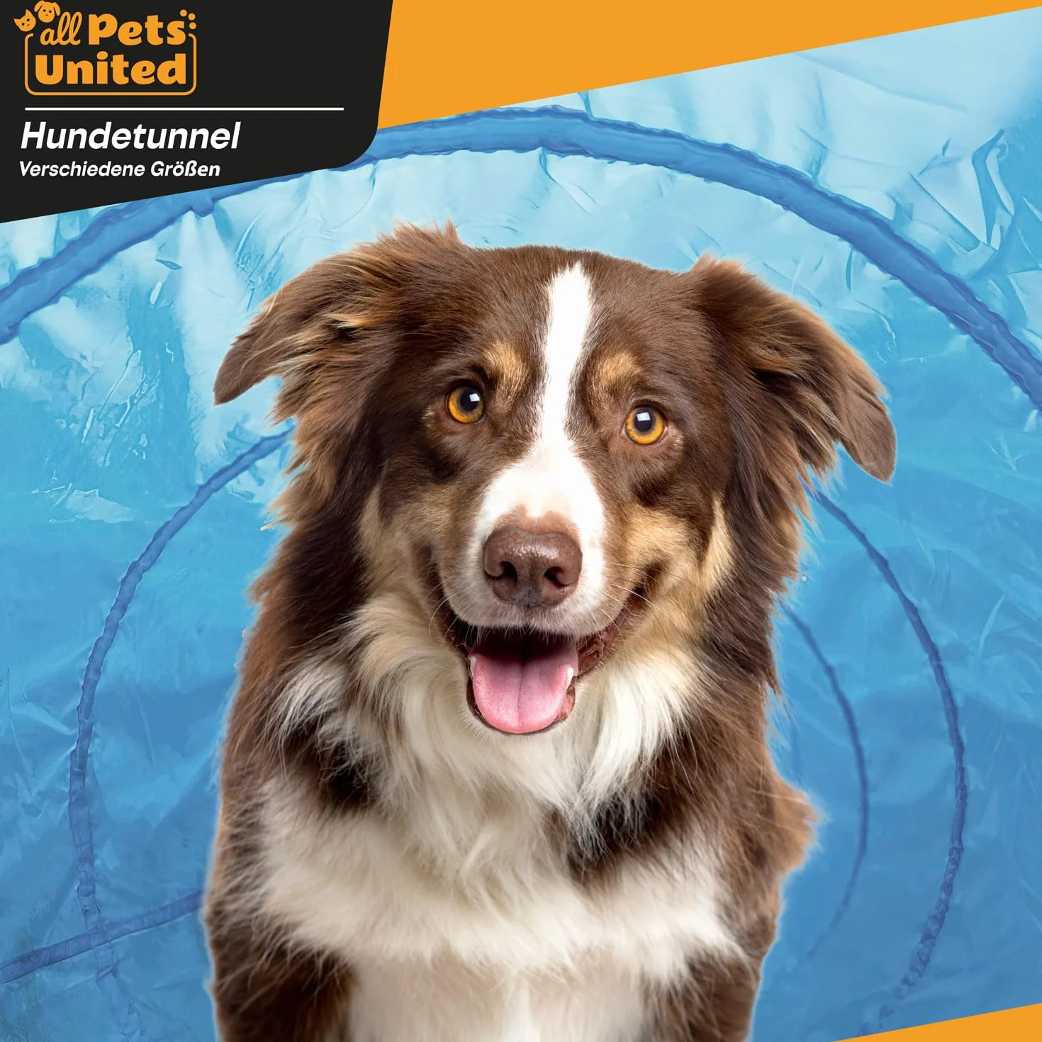 Tunnel d'agilité pour Chien 500 cm avec Sac de Transport