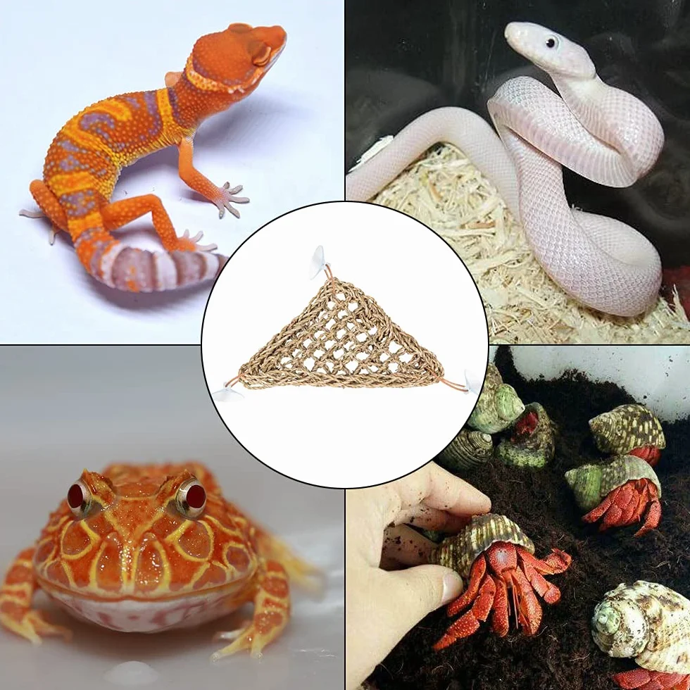 Hamac en jonc de mer naturel avec ventouses pour reptiles