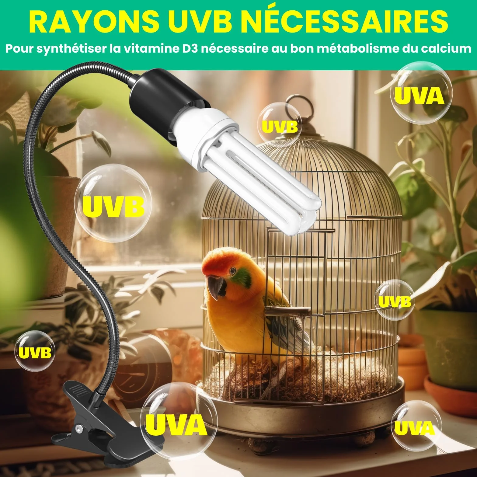 GlowUp UVB 2.4 Kit Complet d'éclairage pour Oiseaux, Lampe à Pince E27 20W