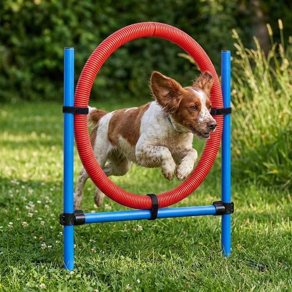 Cerceau d’Agilité pour Chien en Plastique avec Supports Métalliques Ajustables