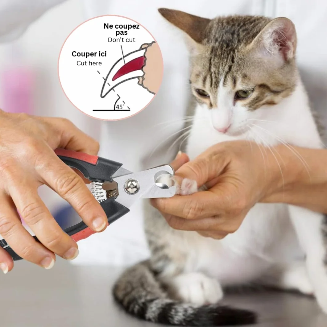 Ciseaux Professionnels pour Ongles Chiens Chats Toilettage Précision Rouge