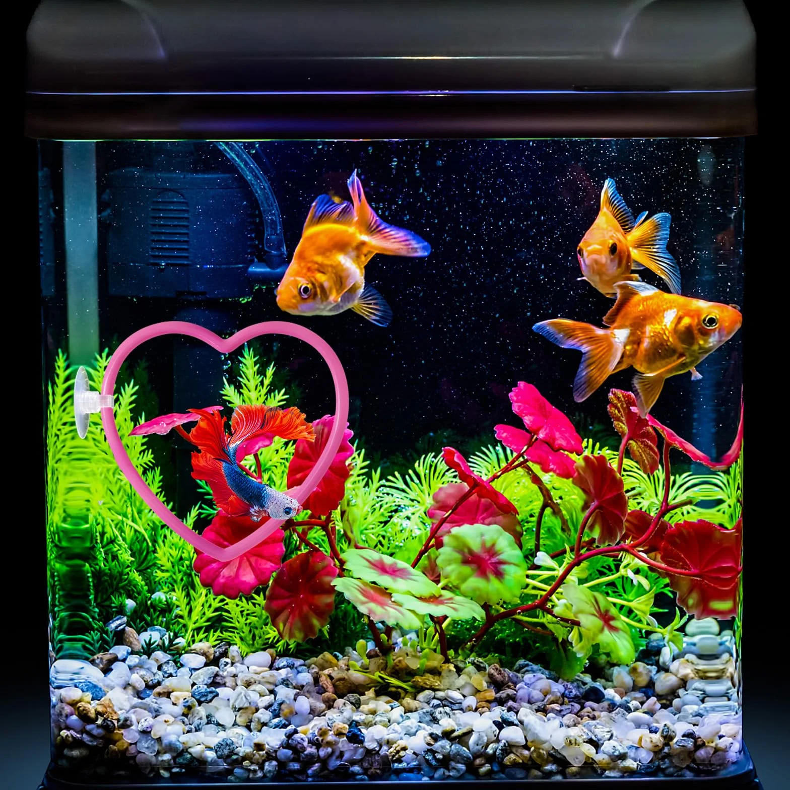 Aquarium Poissons Betta Accessoires Décoration Cœur Roses Résistant