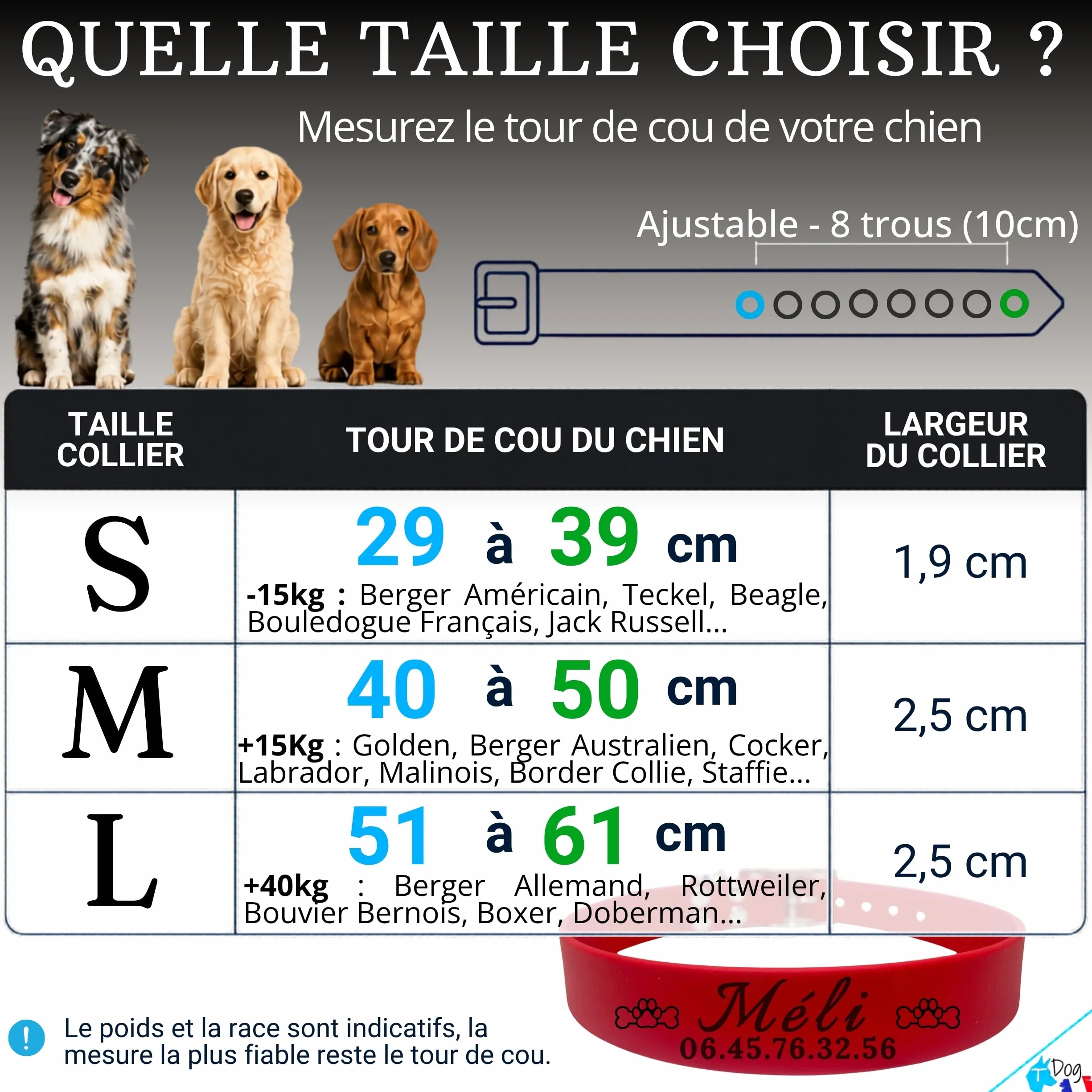 Collier Chien personnalisé Biothane Fait Main France gravé au Laser prénom numéro téléphone étanche résistant TDOG Rouge