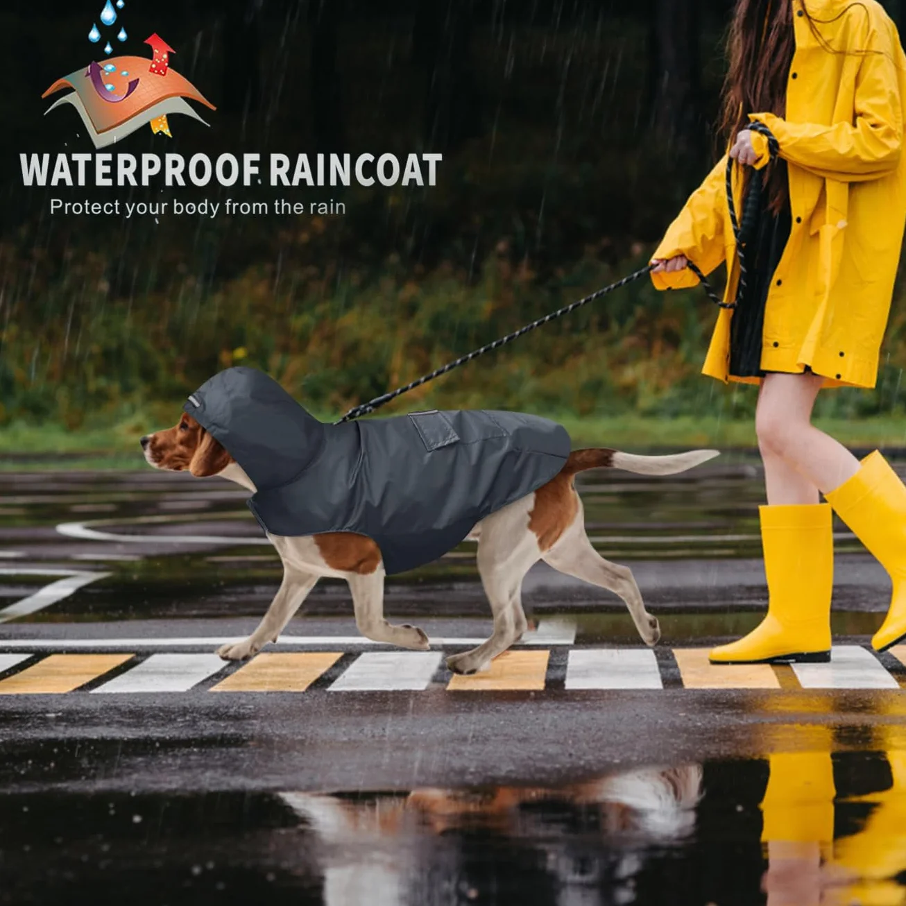 Idepet Manteau imperméable à Capuche pour Chien avec Trou pour Le col, imperméable et réfléchissant pour Chien Taille S, M, L