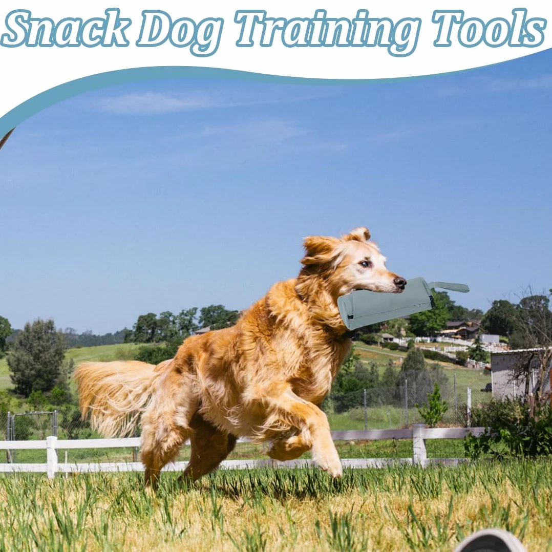Apportable Chien Robuste Jouet Mordant Boudin Flotte Lancer Dressage Chiots Chiens Gris