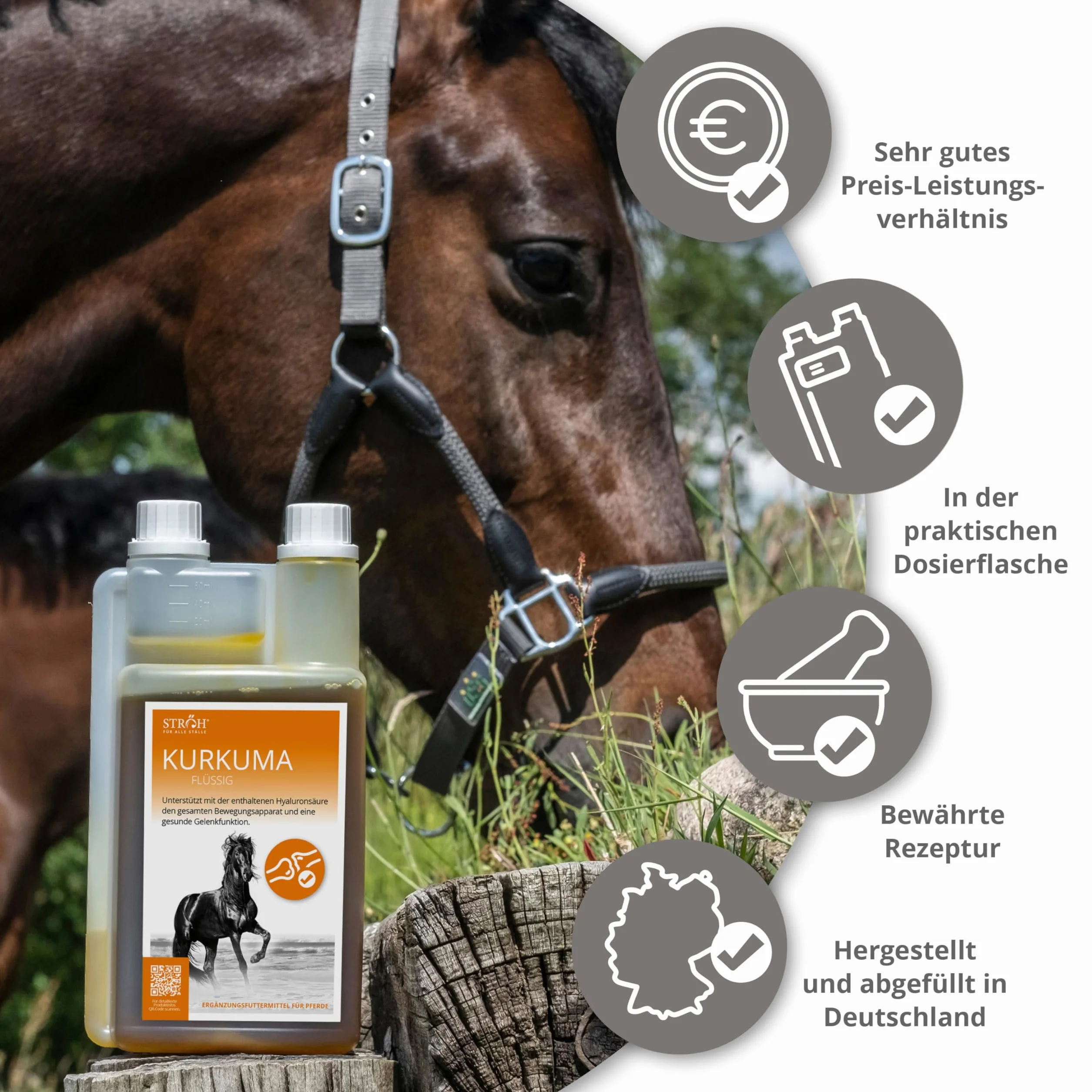STRÖH Curcuma pour chevaux 1 L - Complément articulaire cartilage ligaments tendons