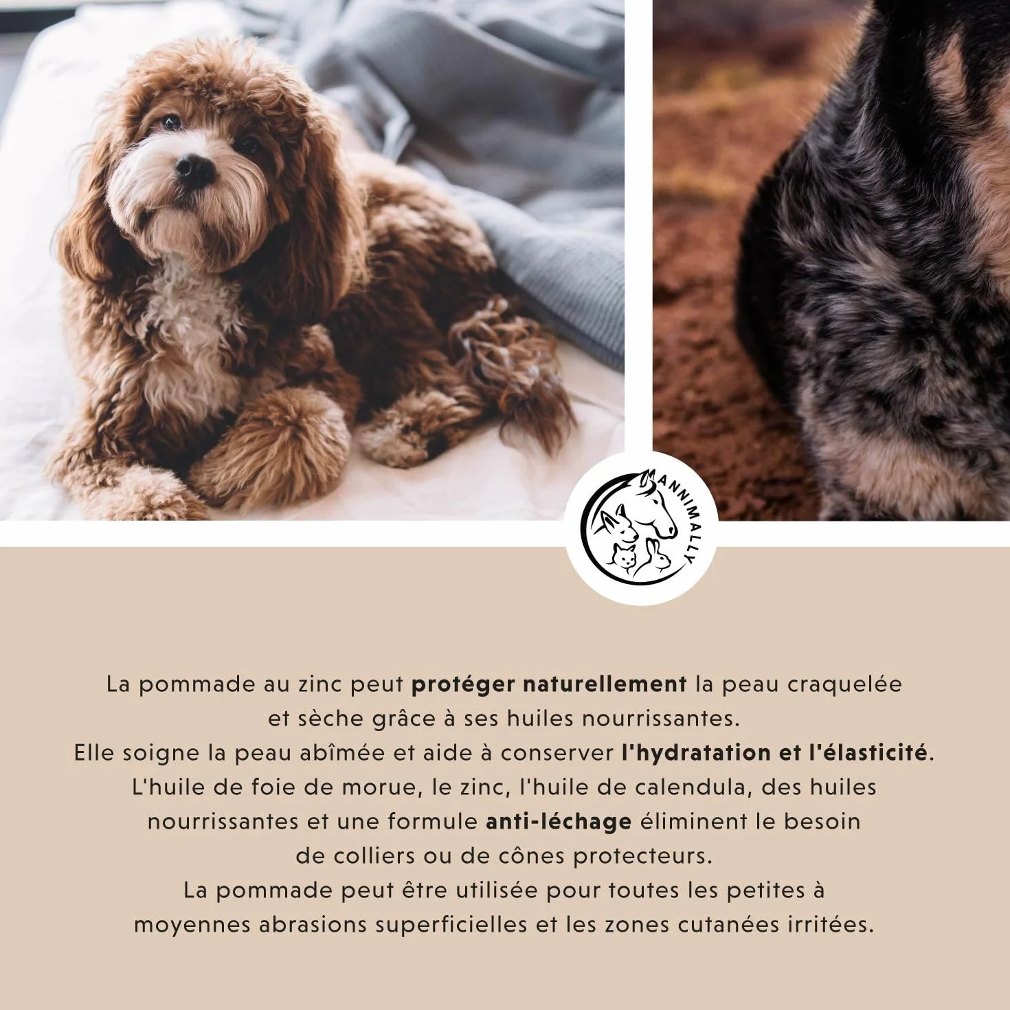 Pommade au Foie de morue et au Zinc pour Chiens 50g - Baume pour blessures, eczéma et escarres