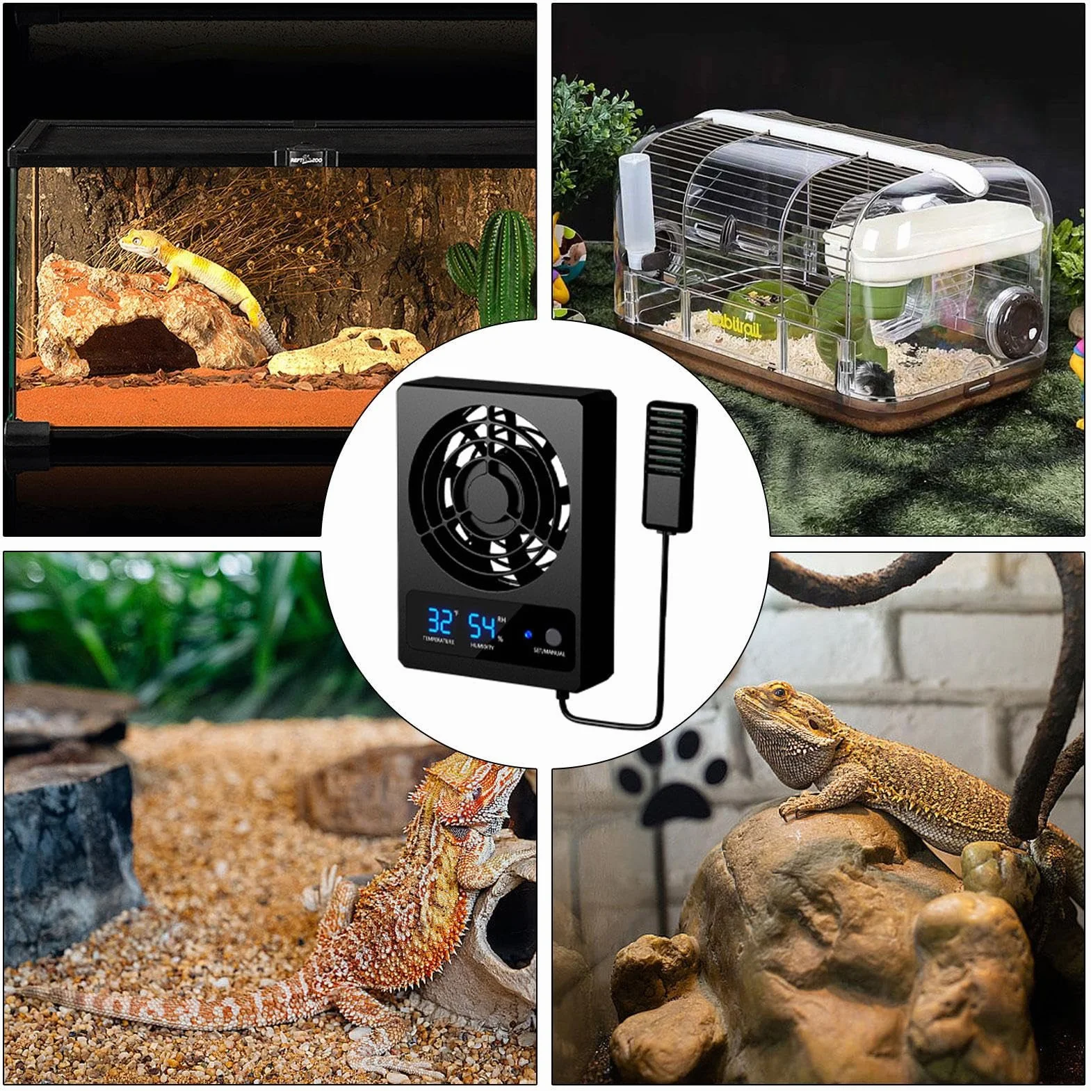 ventilateur terrarium numérique Ventilateur de refroidissement numérique pour reptiles Ventilation silencieuse reptile Refroidissement terrarium pour reptiles avec affichage LEDt