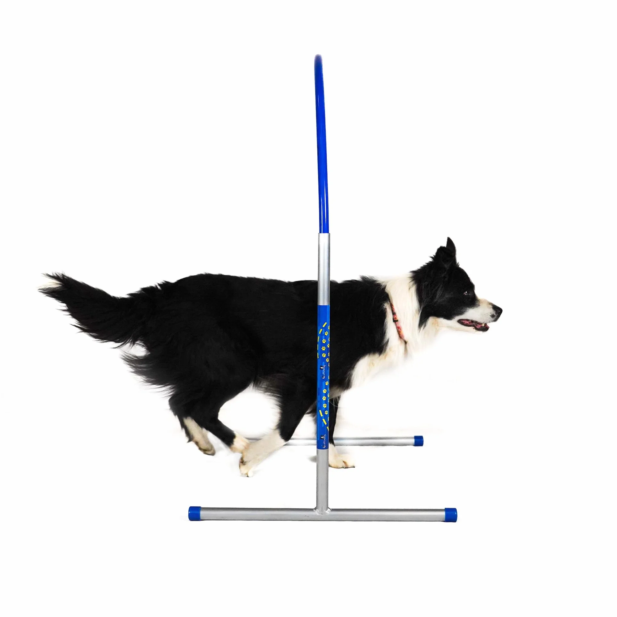 Callieway Hoopers Agility Hoops Lot de 6 cerceaux en aluminium Bleu