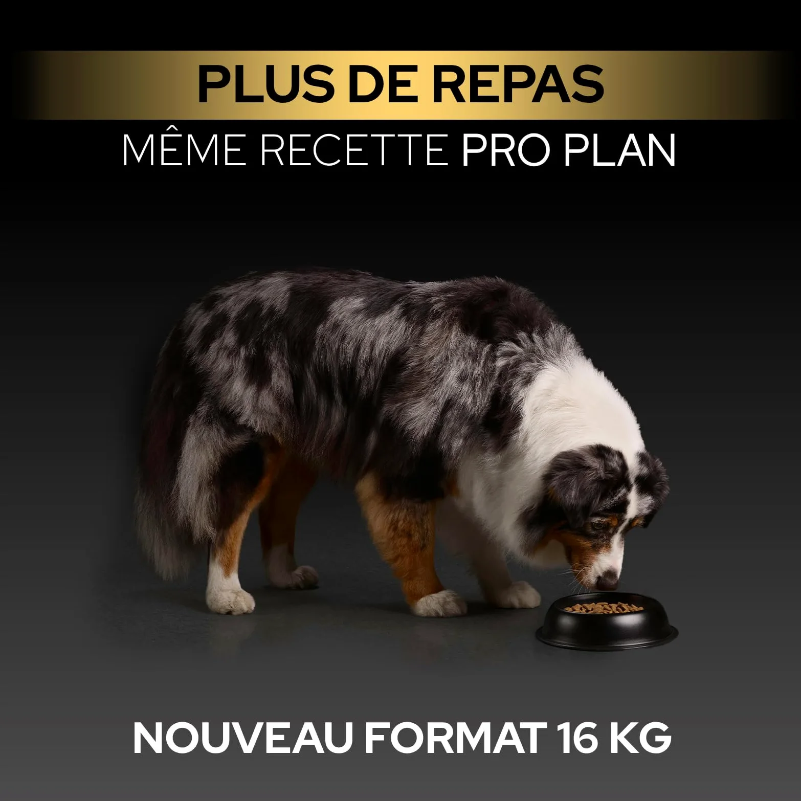 Purina Pro Plan Protein & Energy - Croquettes Chien Adulte au Poulet, 16 kg | Croquettes Chien Saveur Poulet - Contient 60% de protéines animales pour chiens adultes actifs - Alimentation Chien
