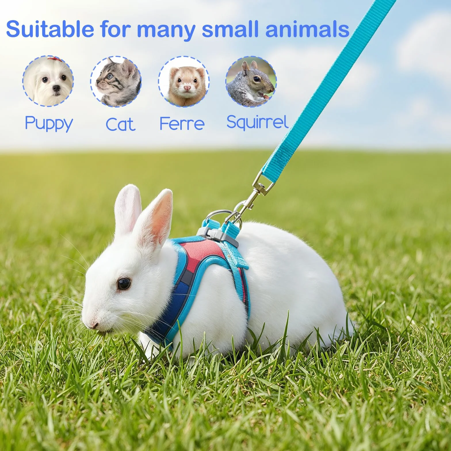 Harnais souple pour lapin avec laisse réglable pour lapin - Accessoires pour chatons - Harnais pour chats et autres petits animaux de compagnie - Bleu, M