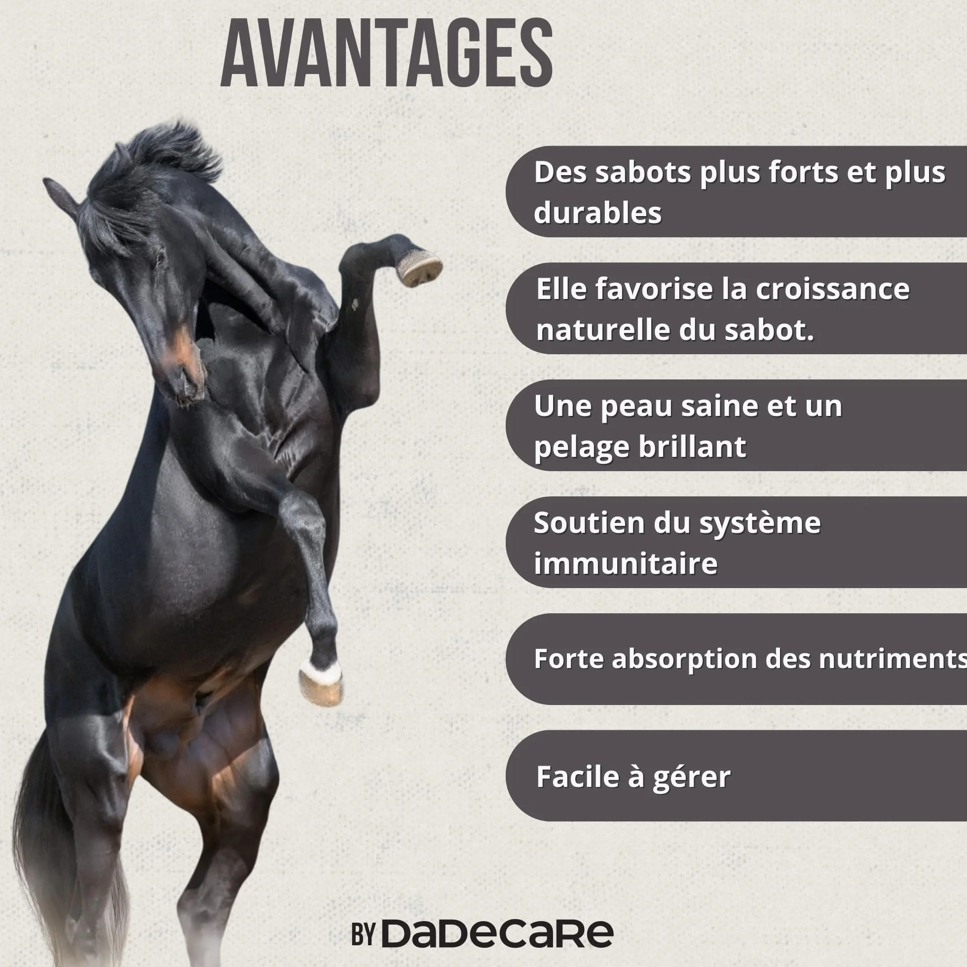 Hoofcare Biotine et zinc pour casques de cheval 750 g – Sabots forts et croissance naturelle – Idéal pour les casques fragiles, le changement de pelage et les chevaux sportifs – Soins sabots et peaux