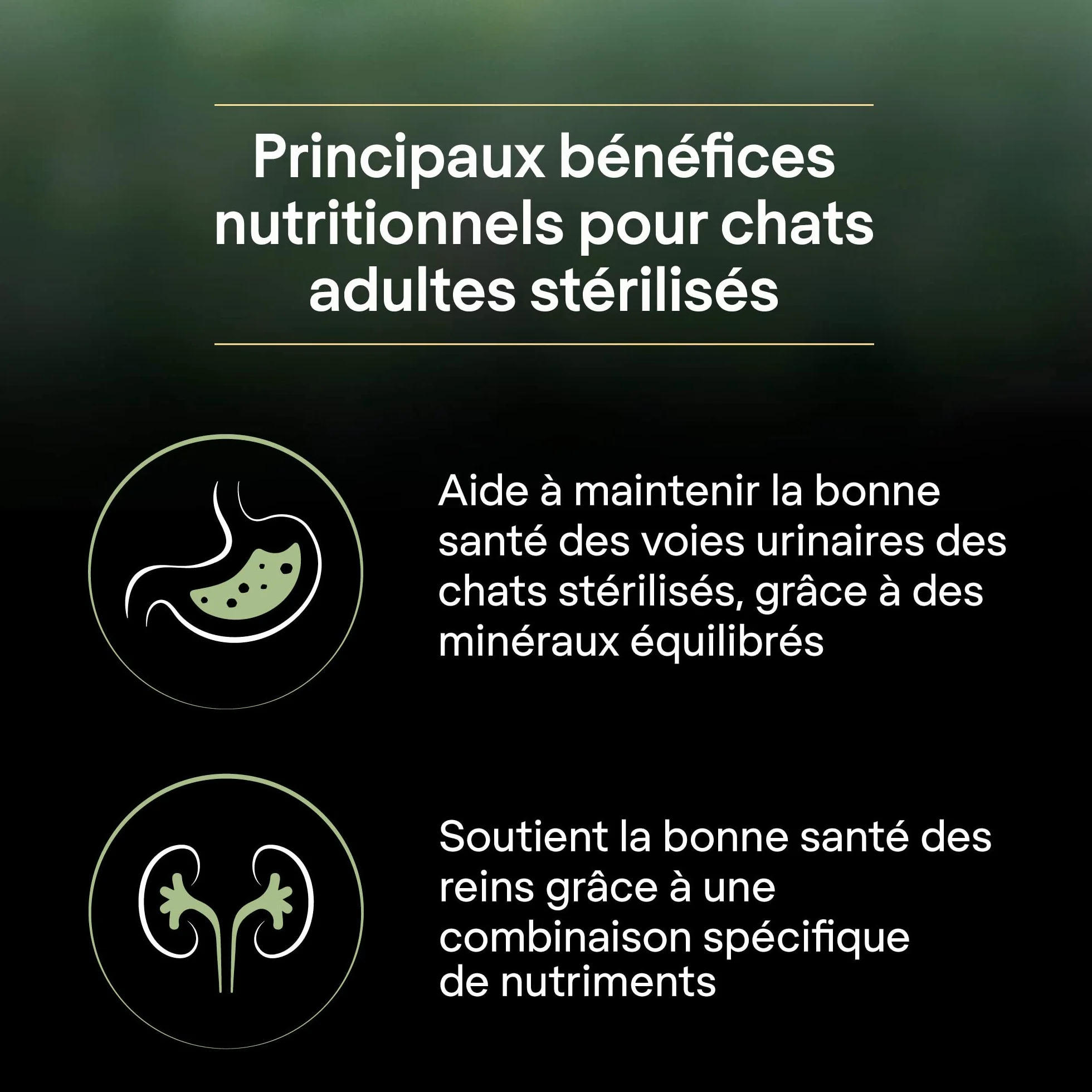 PRO PLAN LIVECLEAR Adulte Stérilisé Saumon 1,4kg