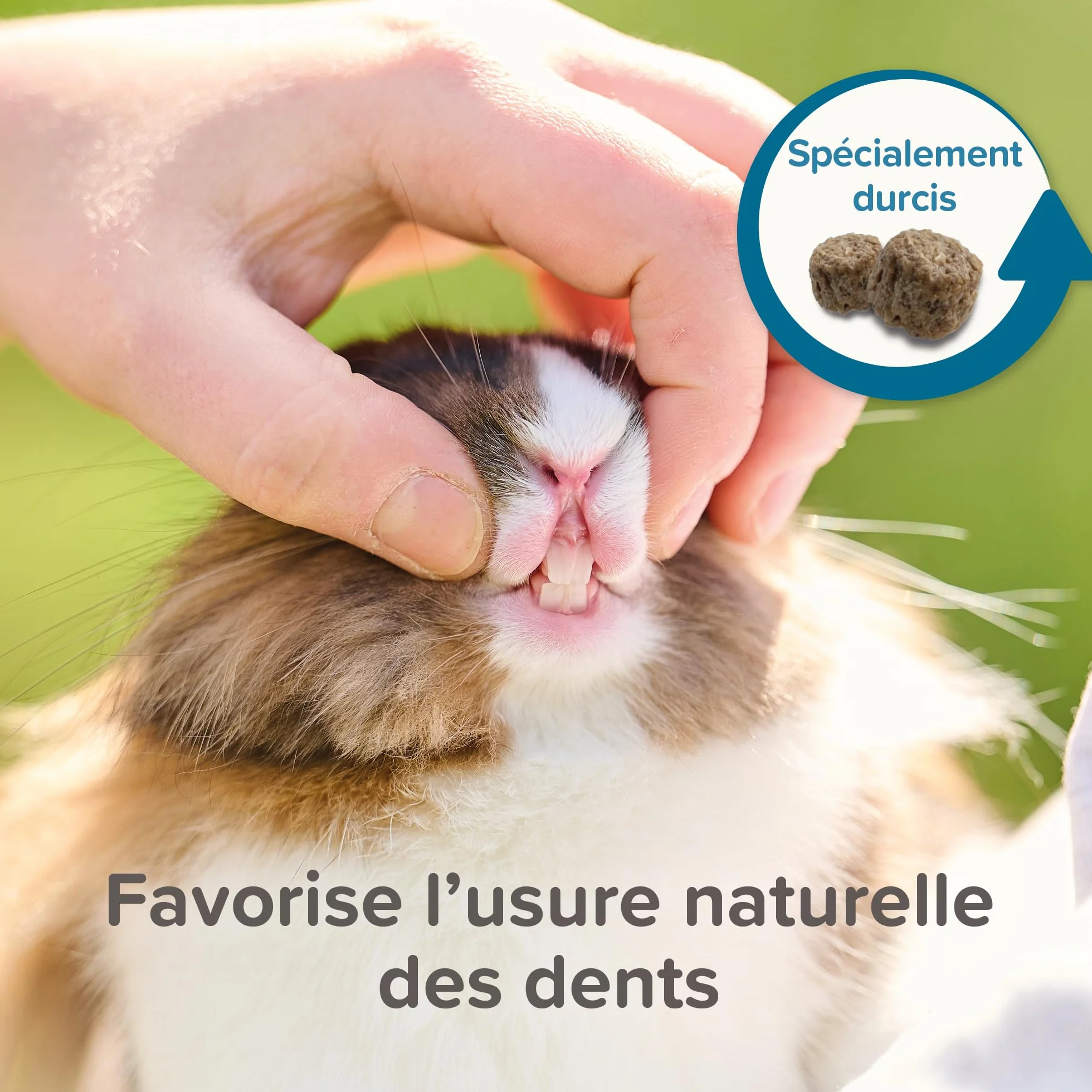 BEAPHAR Care+ Alimentation Super Premium extrudée pour Cochon d'Inde 1.5kg
