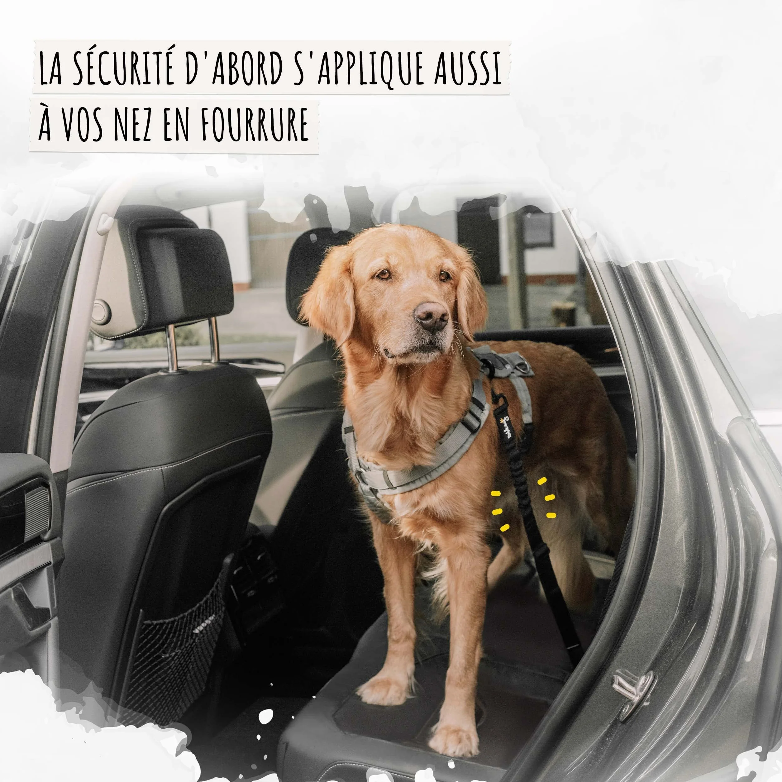 Rudelkönig Ceinture Chien Voiture Réglable 60-80cm Harnais Sécurité Protection Toutes Races