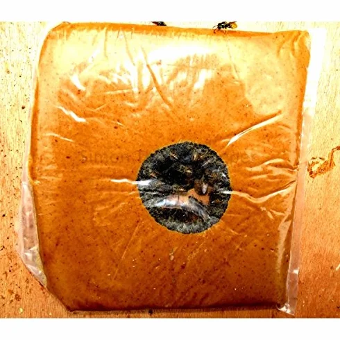 PROTEICO Nourriture pour Apiculture 1 kg