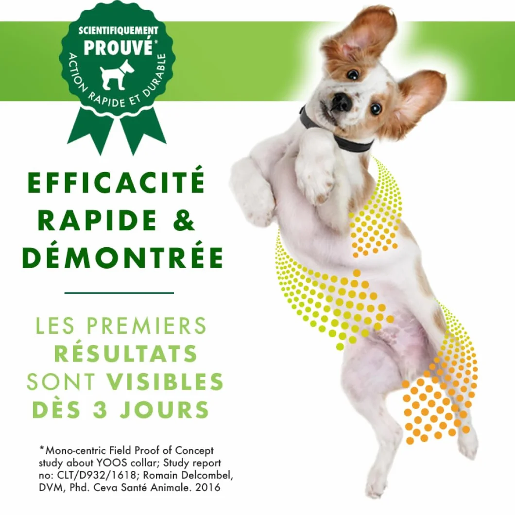 Ceva Yoos Confort Articulaire et Mobilité Collier (70cm) Taille m/l Chien >10kg