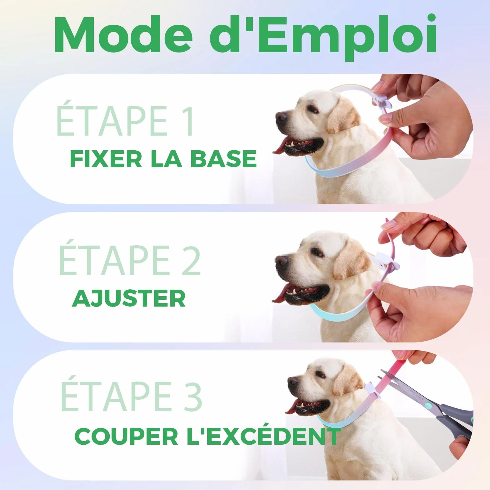 Collier Anti-Parasites pour Chien, Protection 8 Mois, Anti-Puces & Tiques, Réglable 69cm, Résistant à l'eau
