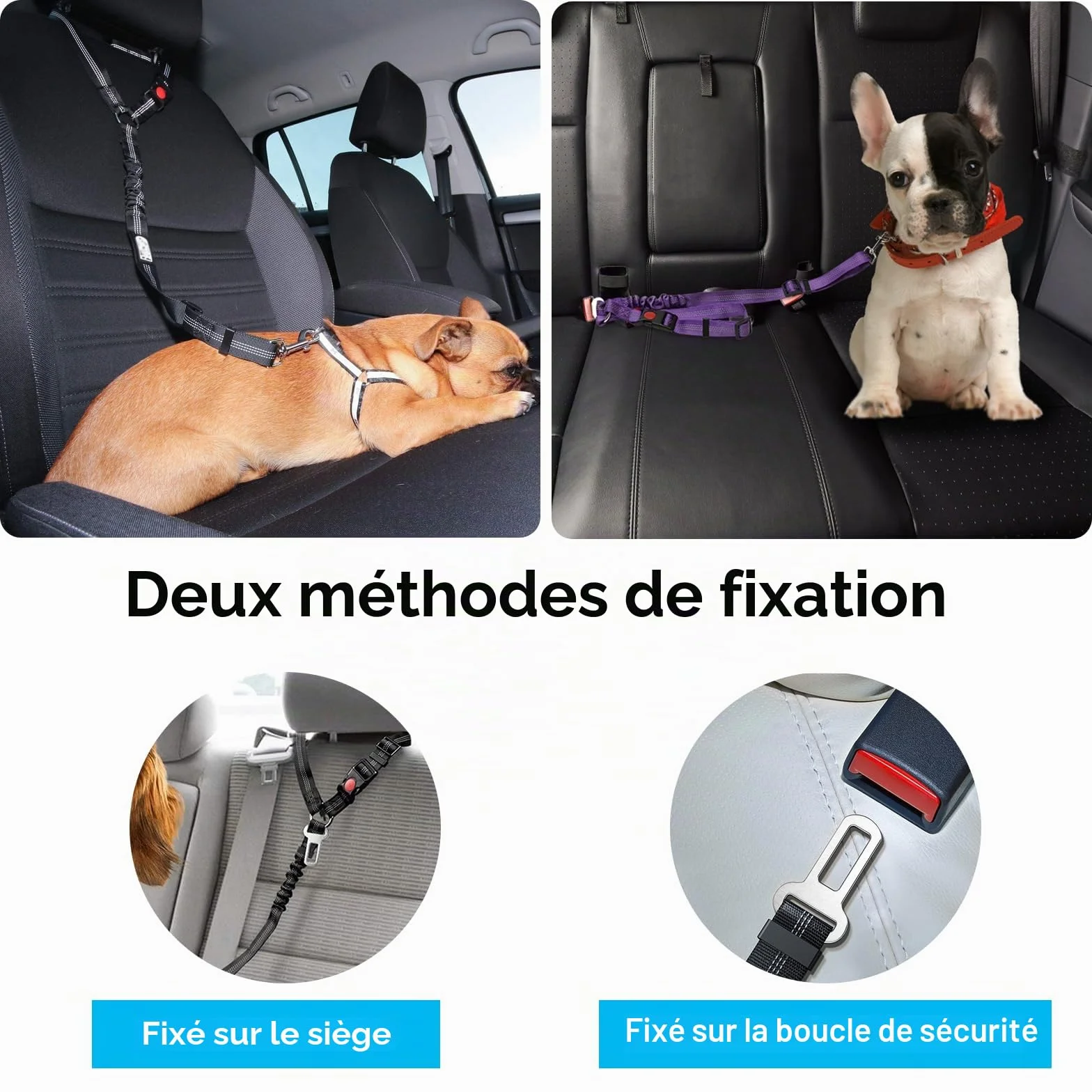Ceinture Sécurité Chien Voiture Réglable 2 Pièces, Coussin Anti-Vibration Noir Rose