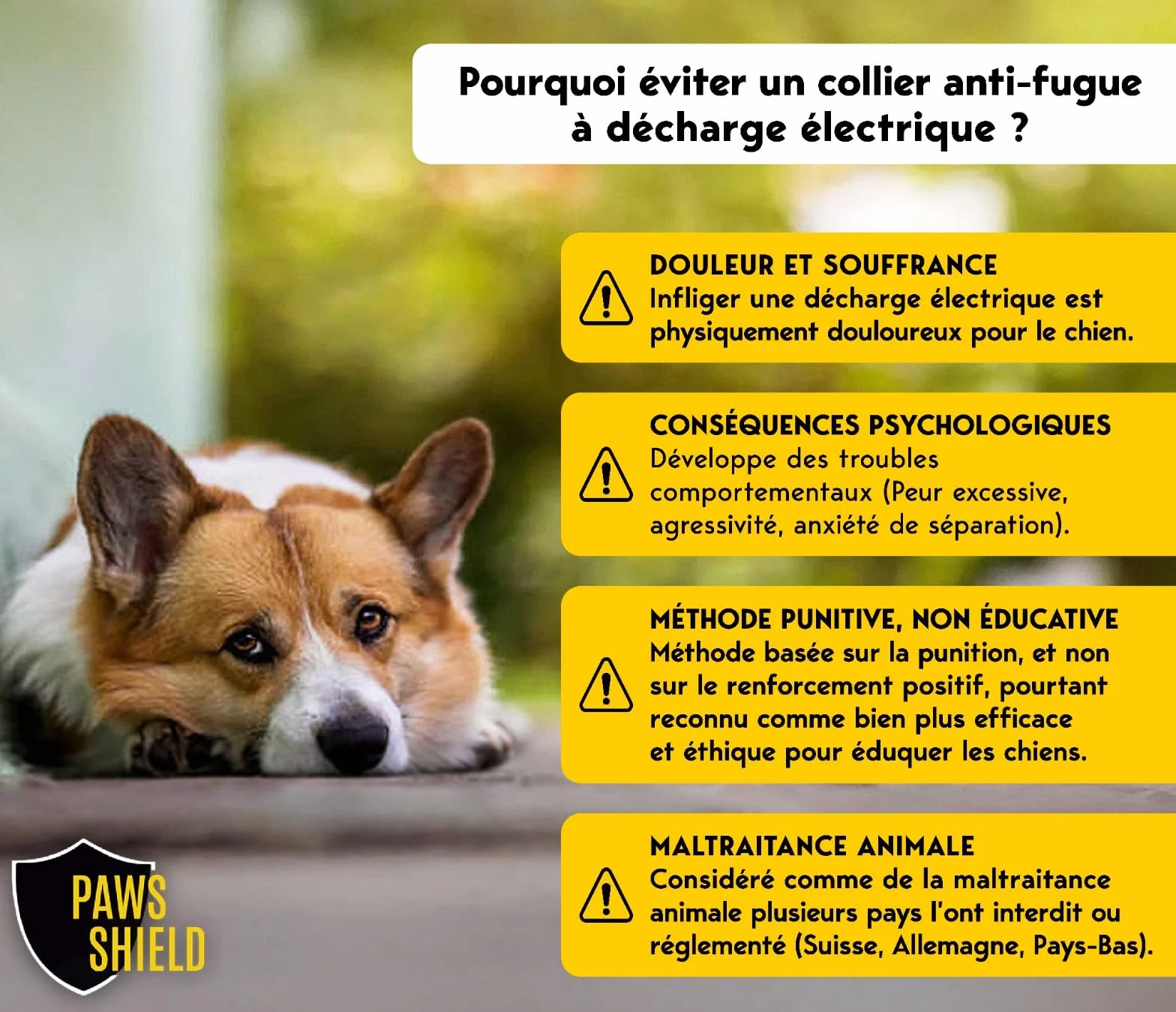 Collier Anti Fugue Chien avec Clôture Électrique Invisible | Dressage Étanche Vibration Signal Sonore Sécurité Extérieure