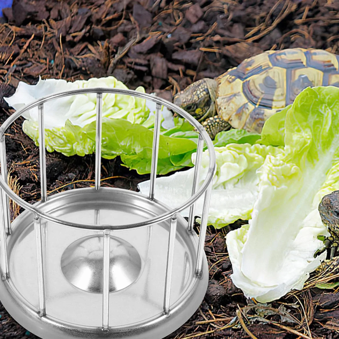 Artibetter Gamelle Acier Inoxydable Argenté Mangeoire Reptile Tortue Terrestre