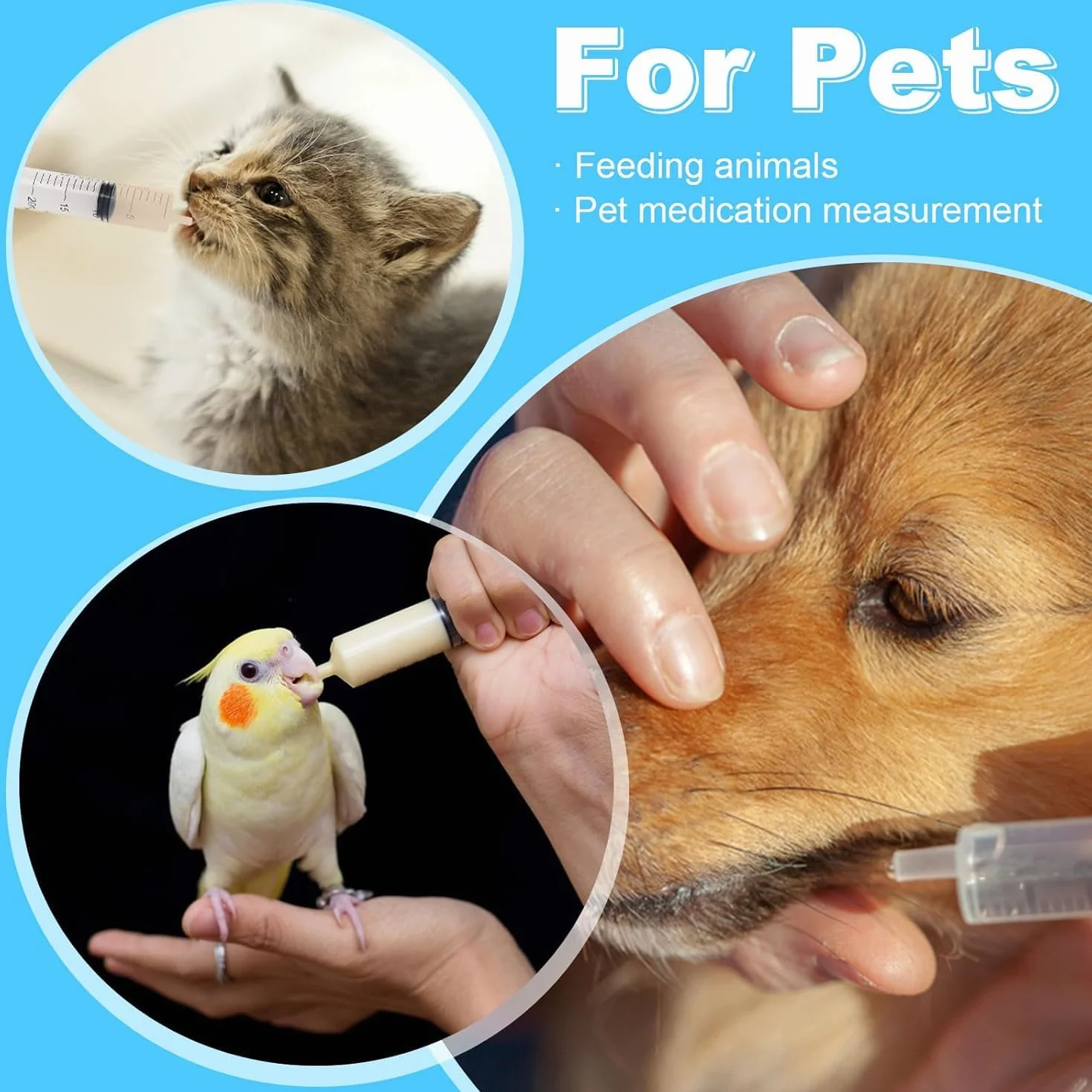 Bébé Oiseau Seringue Alimentation 5 ML Accessoires Pigeons Tortue Colombe Perruches