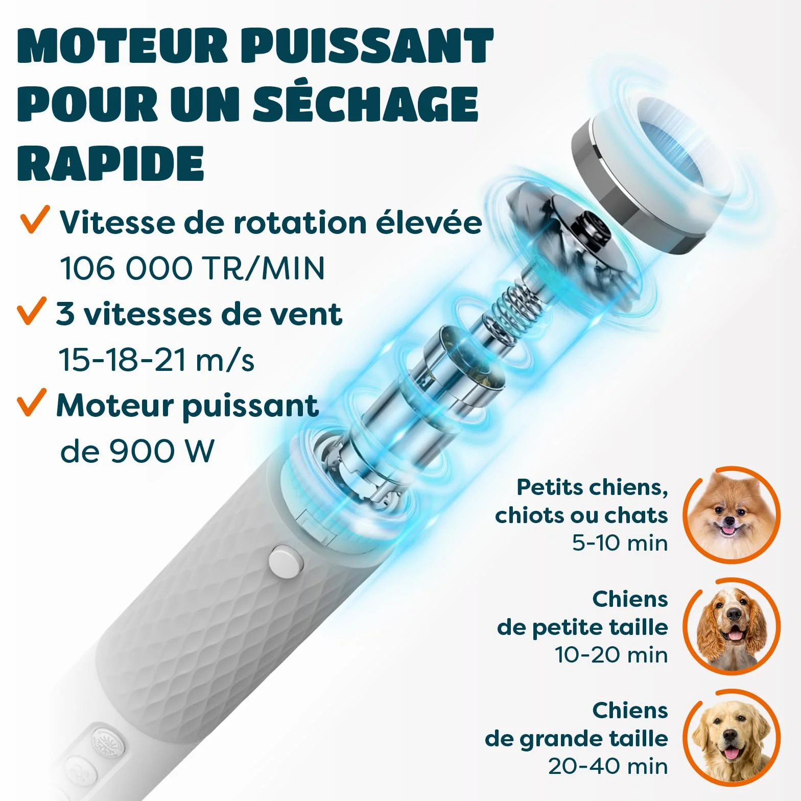 KUUBIA Séchoir 5 en 1 Pour Chien et Chat | Pulseur Avec Brosse Slicker | Sèche Poils Puissant 900 W | Portable, Silencieux, Ions Négatifs, NTC