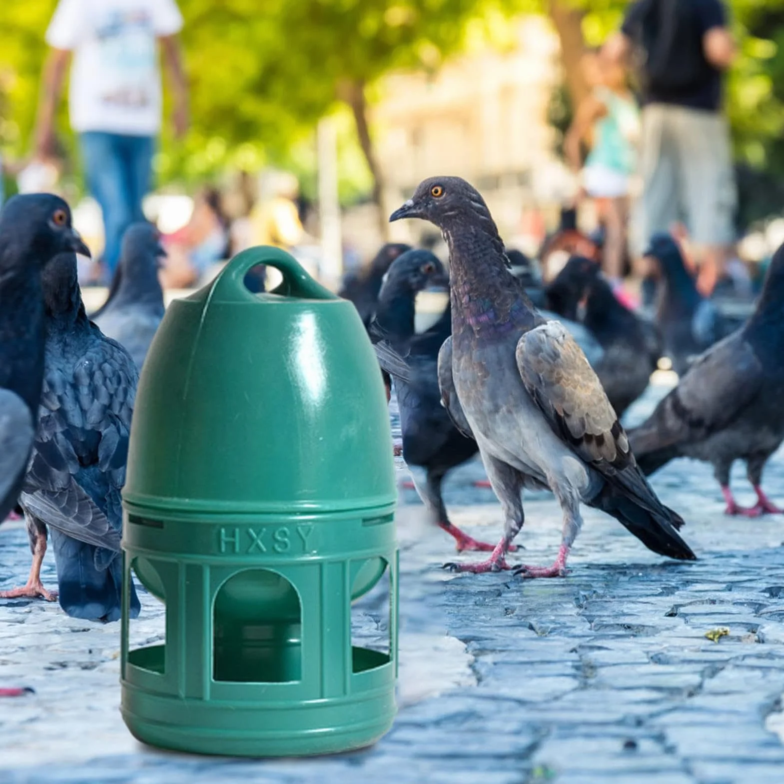 Abreuvoir pour Pigeons et Volailles - Capacité 3/5 L - Distributeur d'Eau avec Poignée de Transport