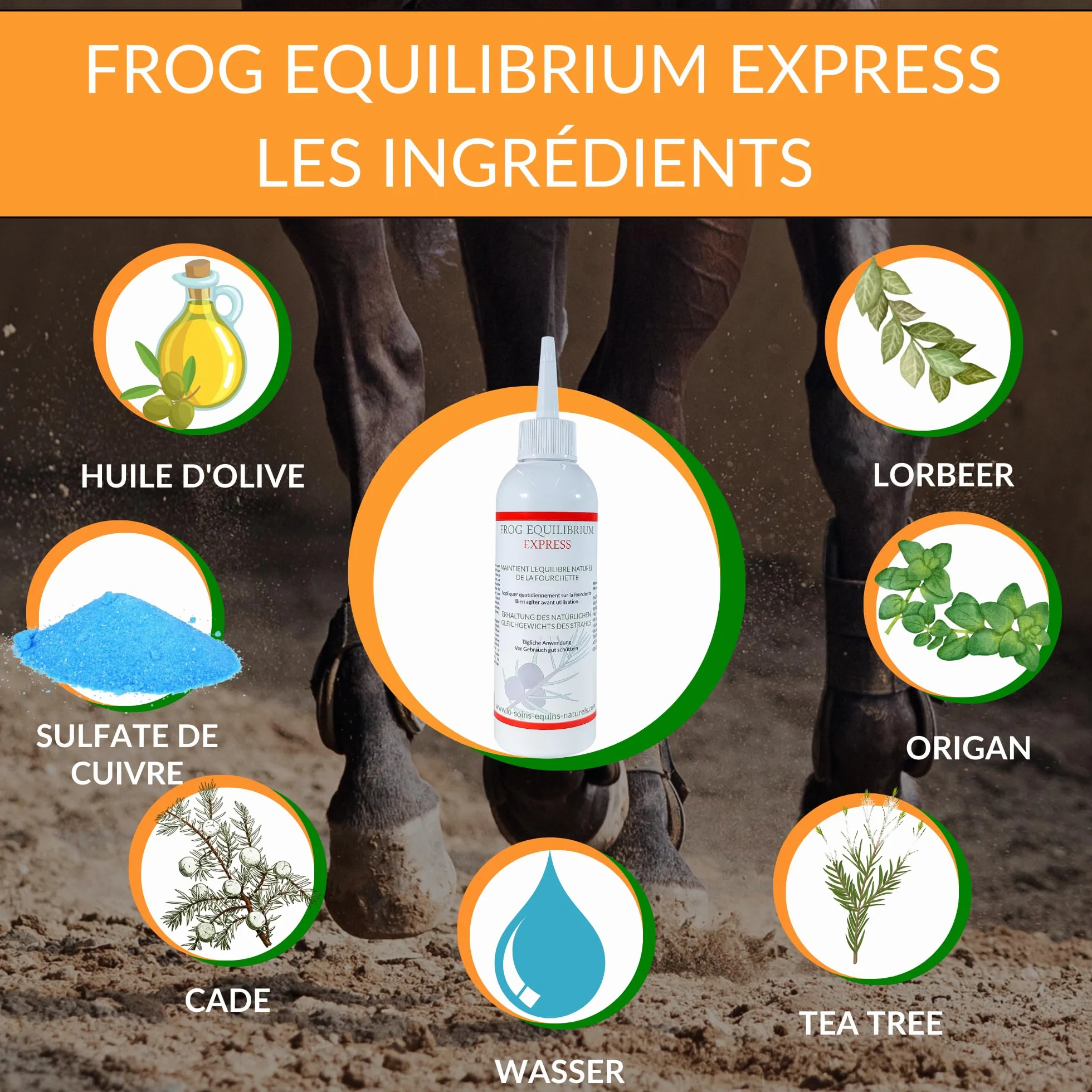 Frog Equilibrium Express - Soin Naturel réparateur et Protecteur des fourchettes pour Cheval - Retour Rapide à l'état physiologique (125 ML)