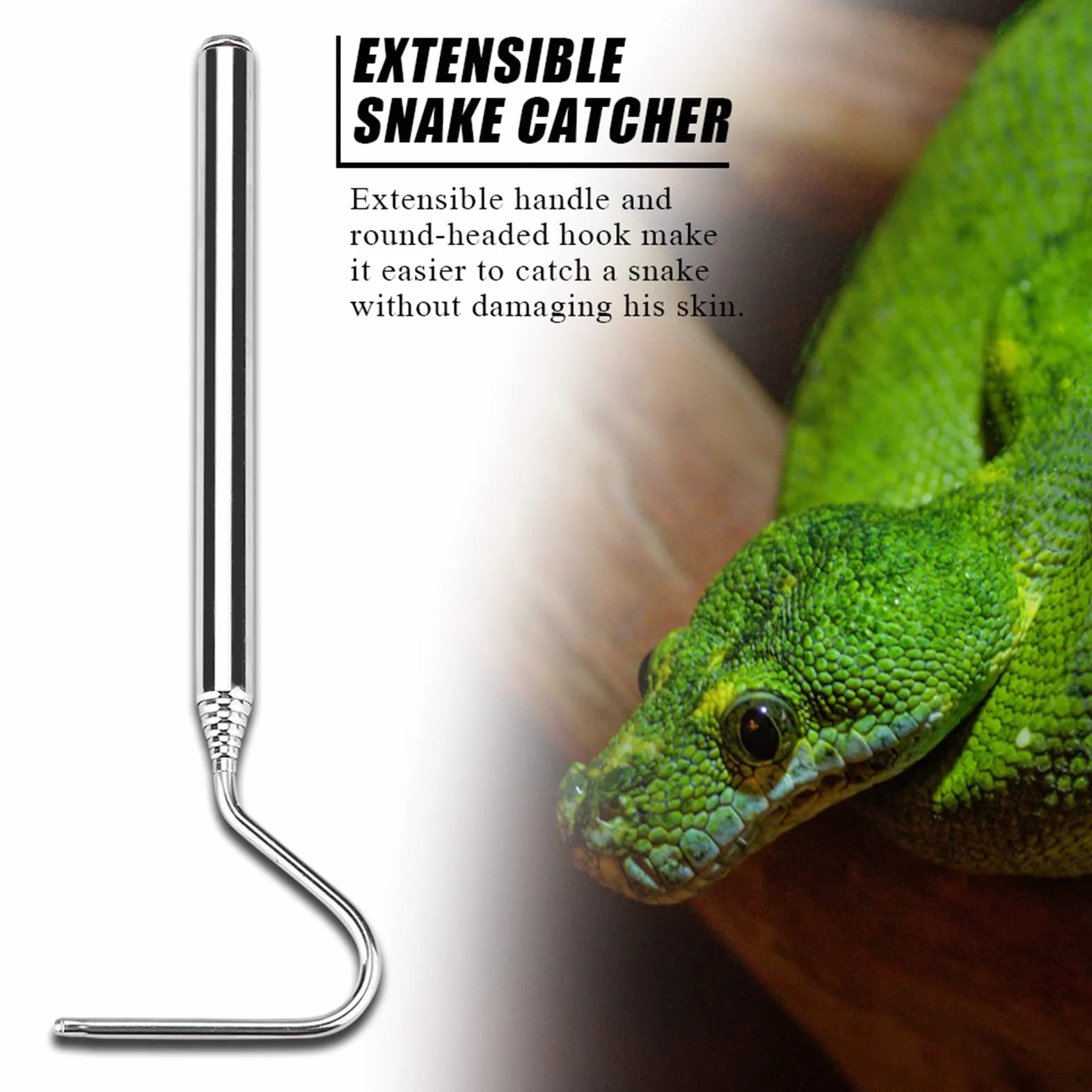 Pince à Serpent télescopique Extensible en Acier Inoxydable Portable, Outil de Capture de Serpent