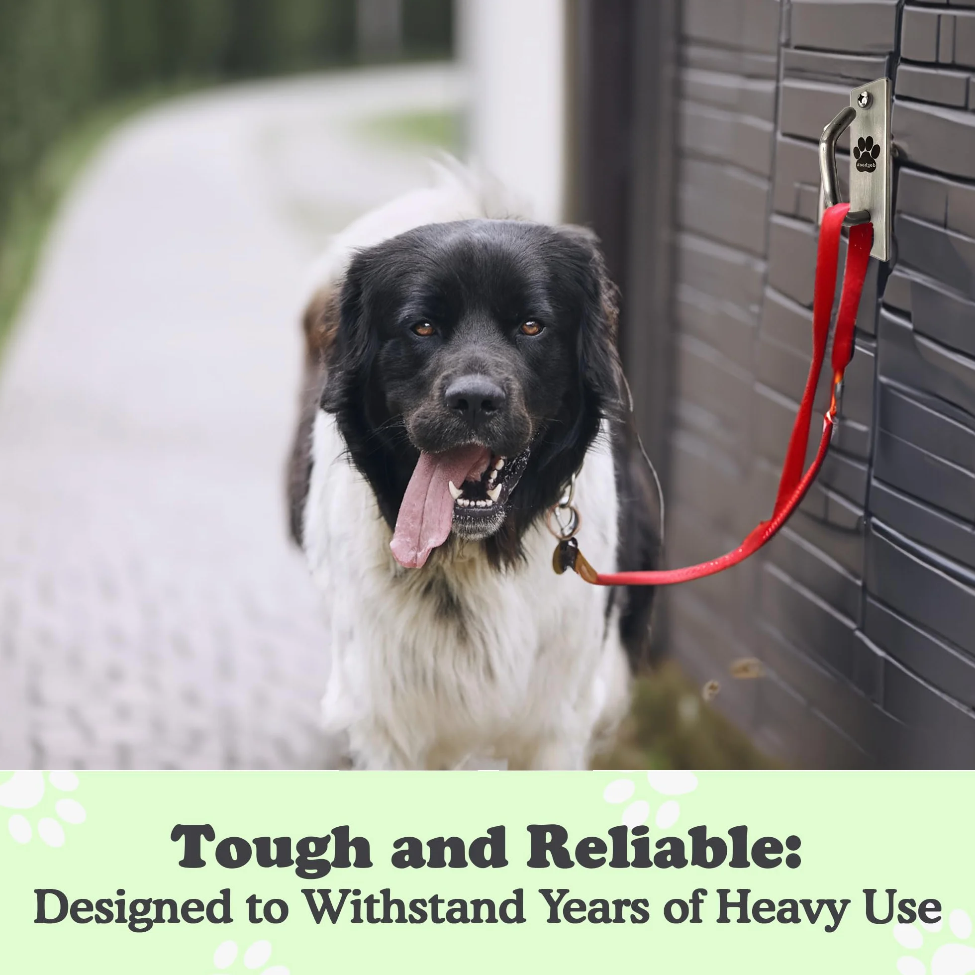 Attelage canin - Laisse sécurisée pour Chien montée au stationnement intérieur - Crochet Mural extérieur - Attache en Acier Inoxydable Pratique pour la Maison et Le Travail, Fin et Compact