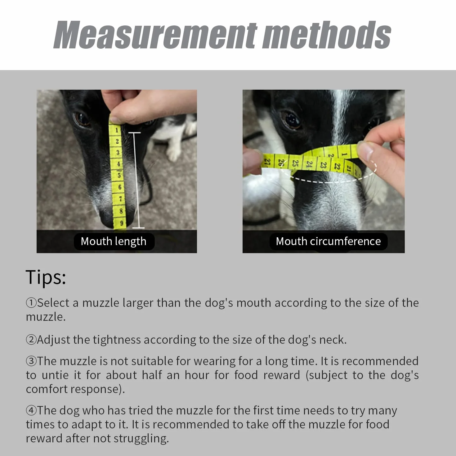 Muselière pour Chien, Museau en Silicone Souple pour Chiens, avec Bandeau Respirant en Maille et Nylon Résistant pour Petits,Moyens Et Grands Chiens ((Number 2)…)