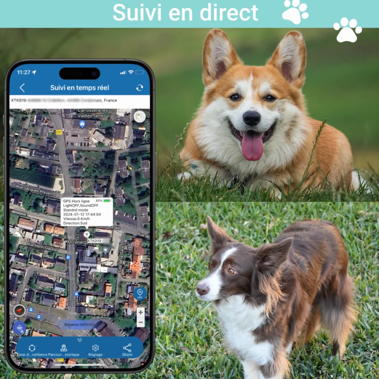 Collier GPS 4G TK919 Pro pour Chien Traceur Anti-Fugue Étanche Moniteur d'Activité