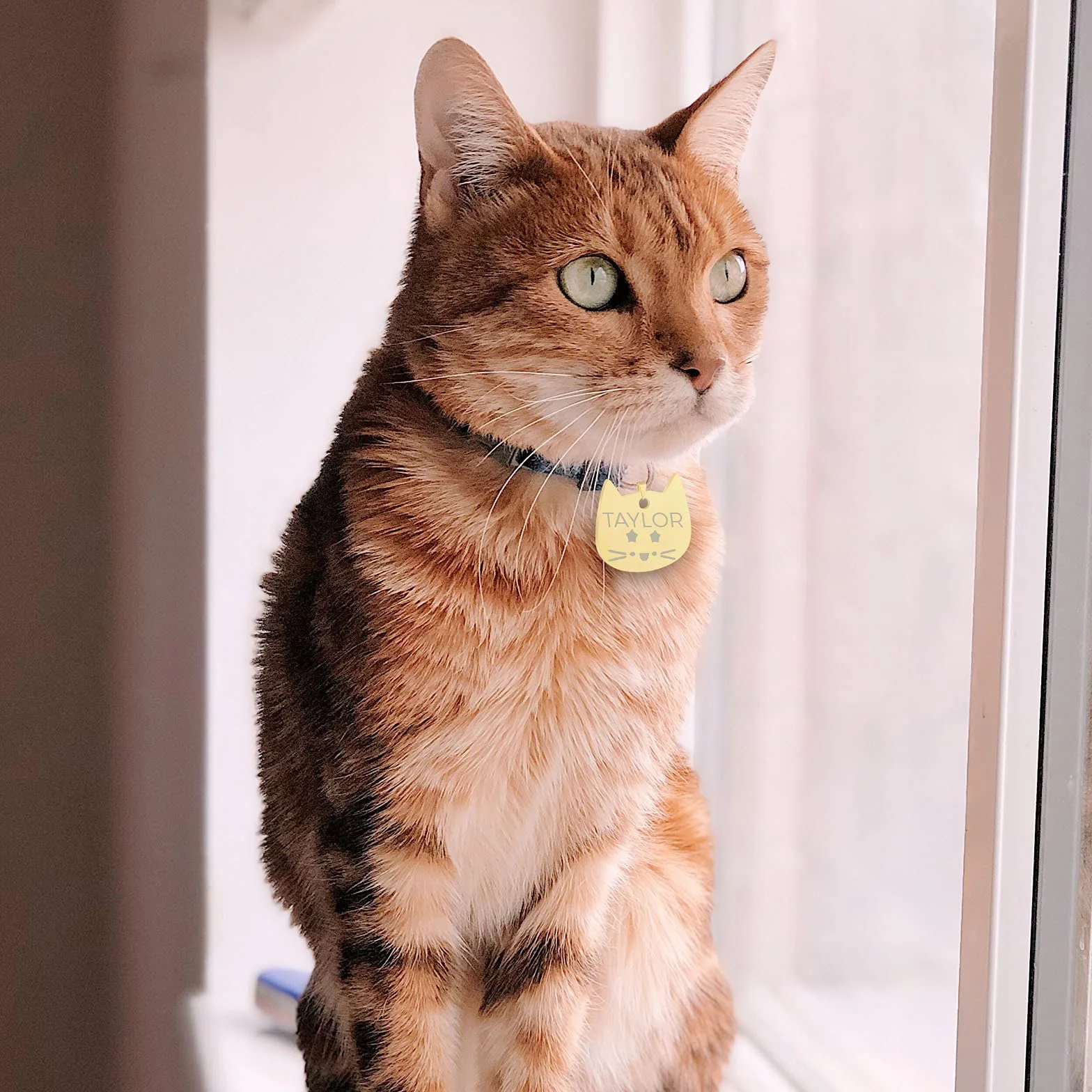 Uiopa 2pcs Medaille Chat avec Gravure, Acier Inoxydable Medaille Chien avec Gravure, Tête de Chat Medaille pour Chien Personnalisé Porte-adresse pour Colliers pour Chiens et Chats (Argent, Petit)