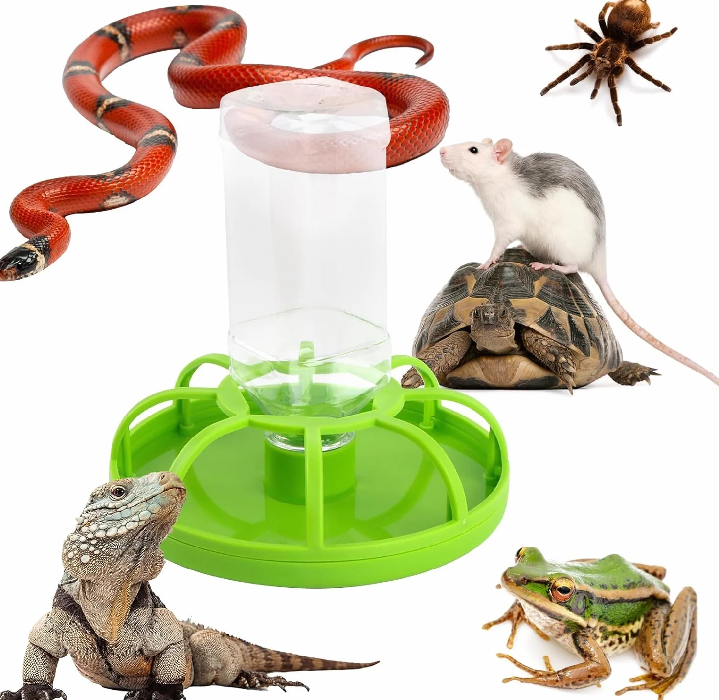 Distributeur d'eau pour Reptiles avec Bouteille, Mangeoire Automatique Abreuvoir Tortue (Grand)