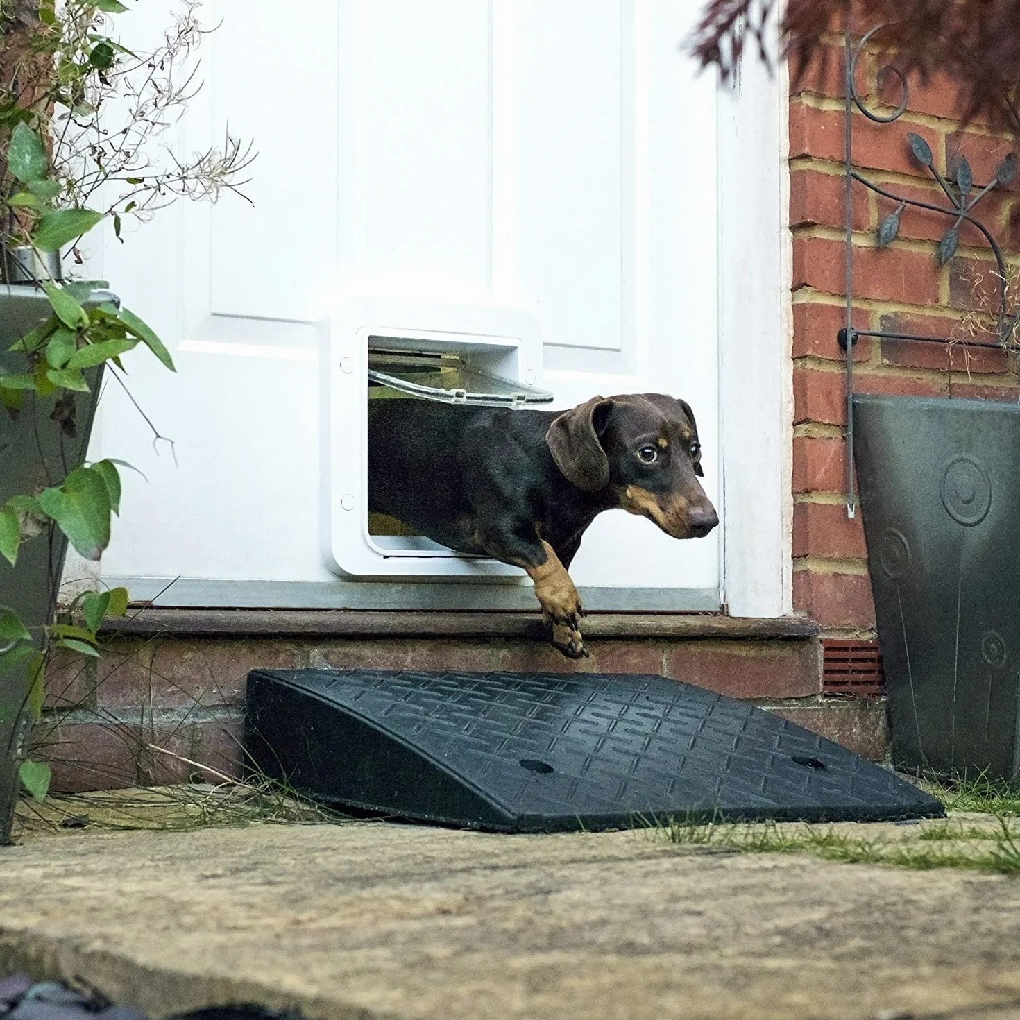 Connect SureFlap Grande chatière électronique avec hub, contrôle par app, couvre-feu, pour chats et petits chiens