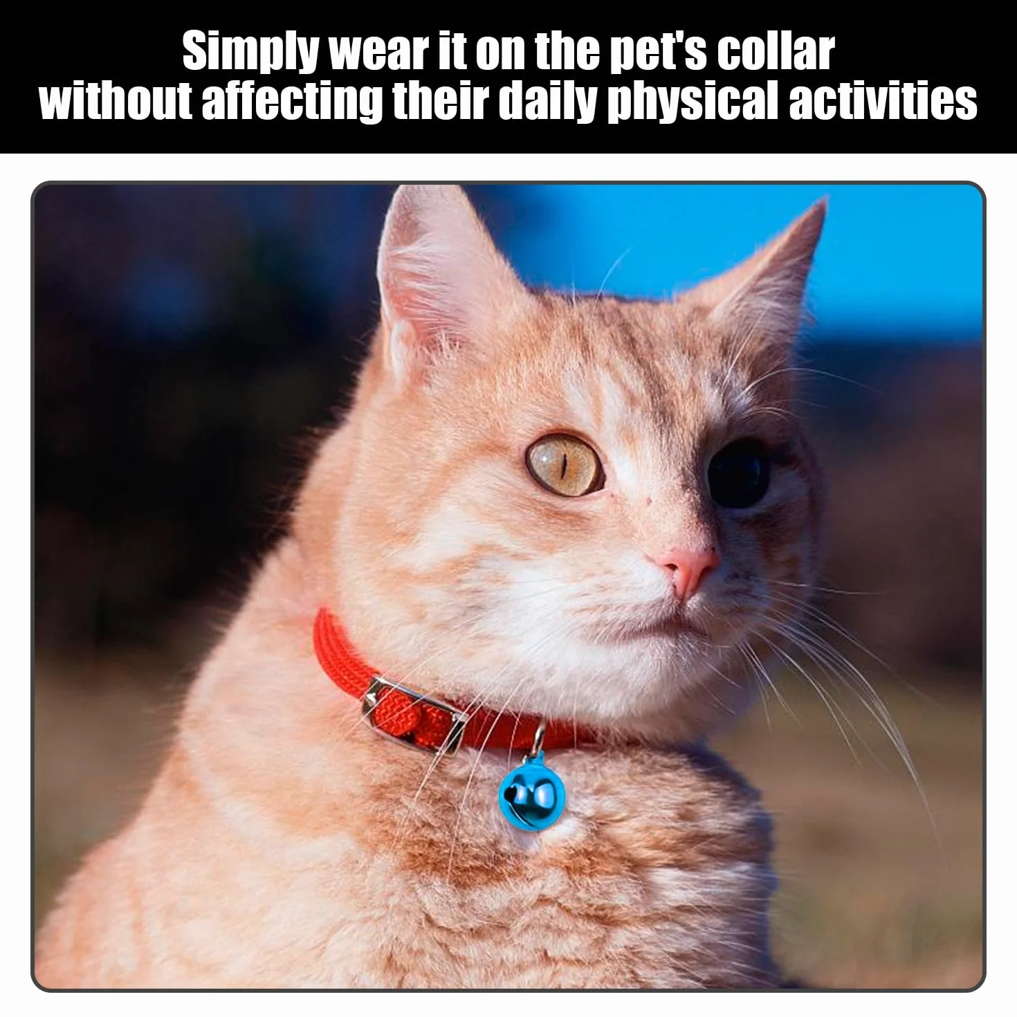 Cloches Colorées pour Animaux de Compagnie, 50 Pièces, Ornements Faits à la Main, Équipement de Dressage Chats Chiens