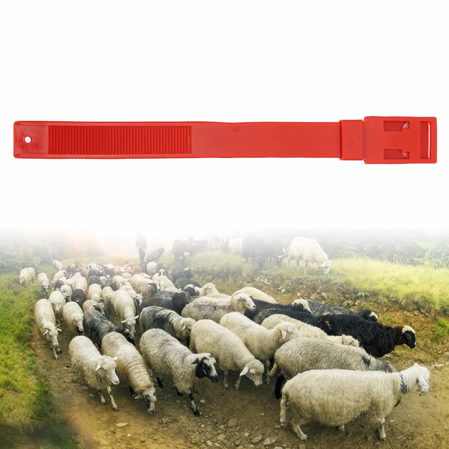 Colliers d'Identification pour Chèvres et Moutons, Bandes de Marquage de Bétail, Rouge, 36 cm, 10 Pièces, pour Petits Animaux de Ferme