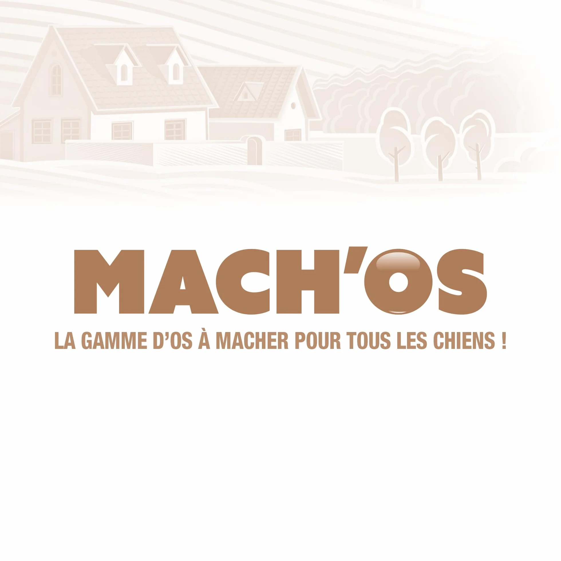 RIGA Mach'os Bon'os pour Chien S - Riche en Protéines et Calcium - Hygiène Buccale - Mastication - x6