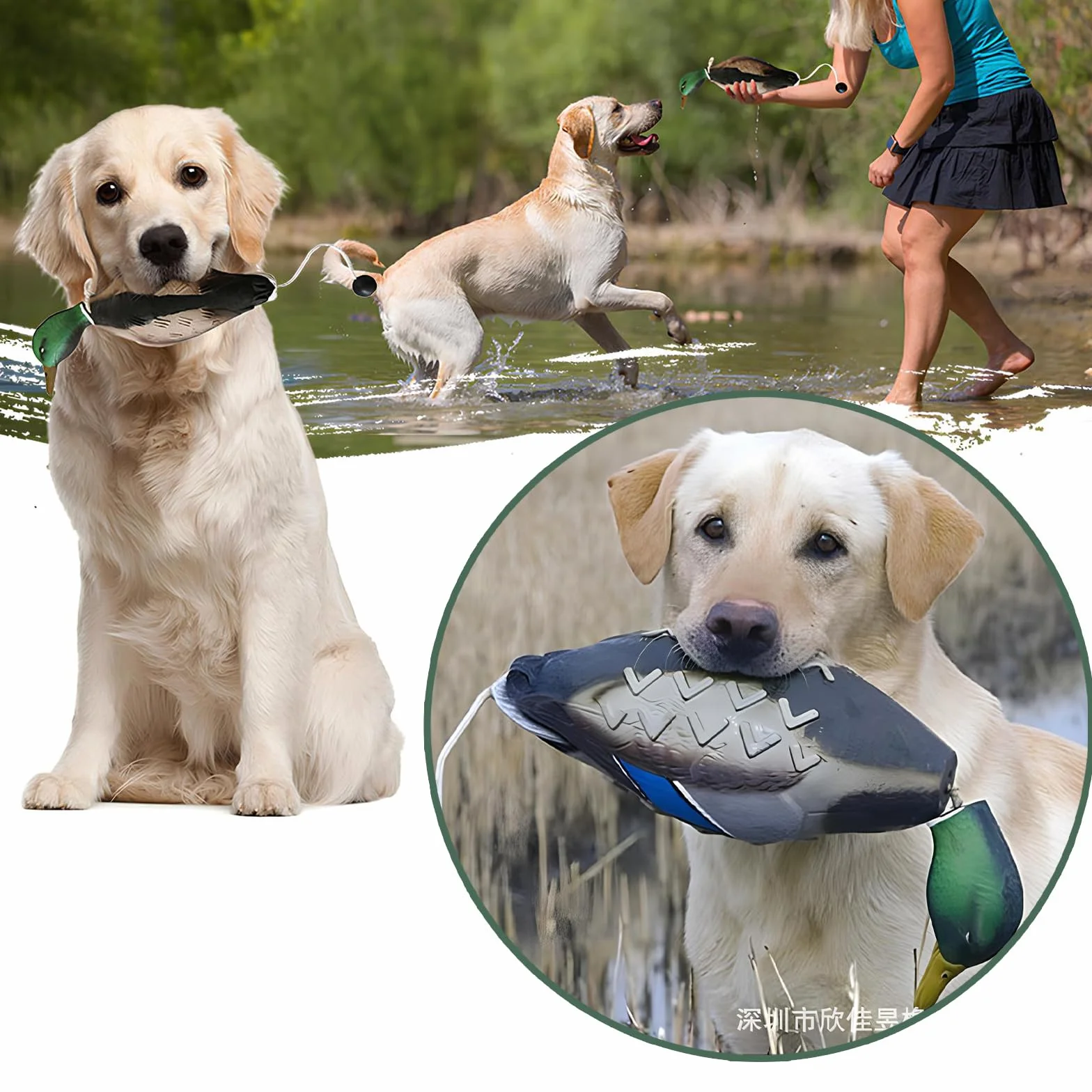 Factice Canard Dressage Chien, Jouet Entraînement Chasse Chien Retriever