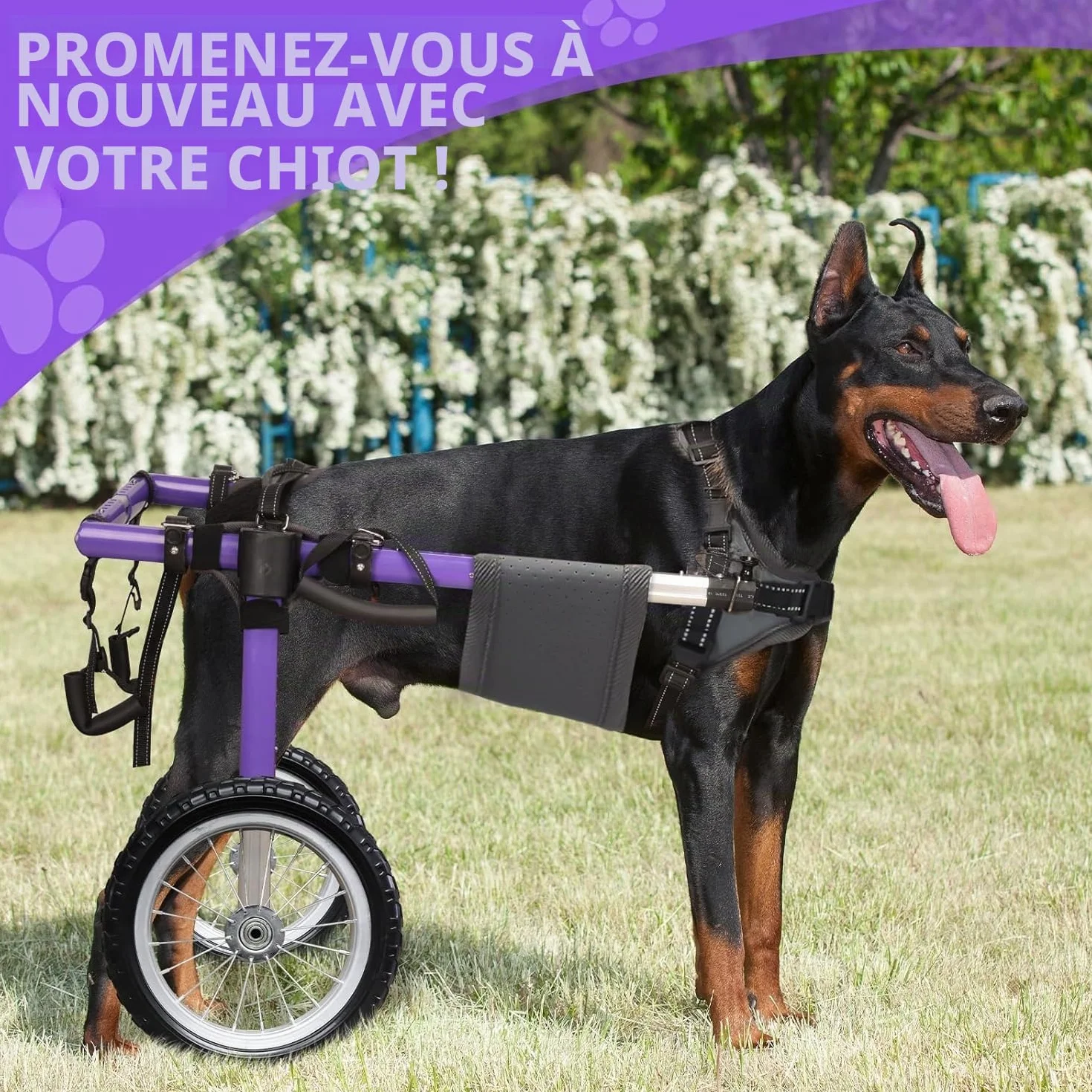 Fauteuil roulant pour chien pour pattes arrière - Fauteuil roulant pour chien